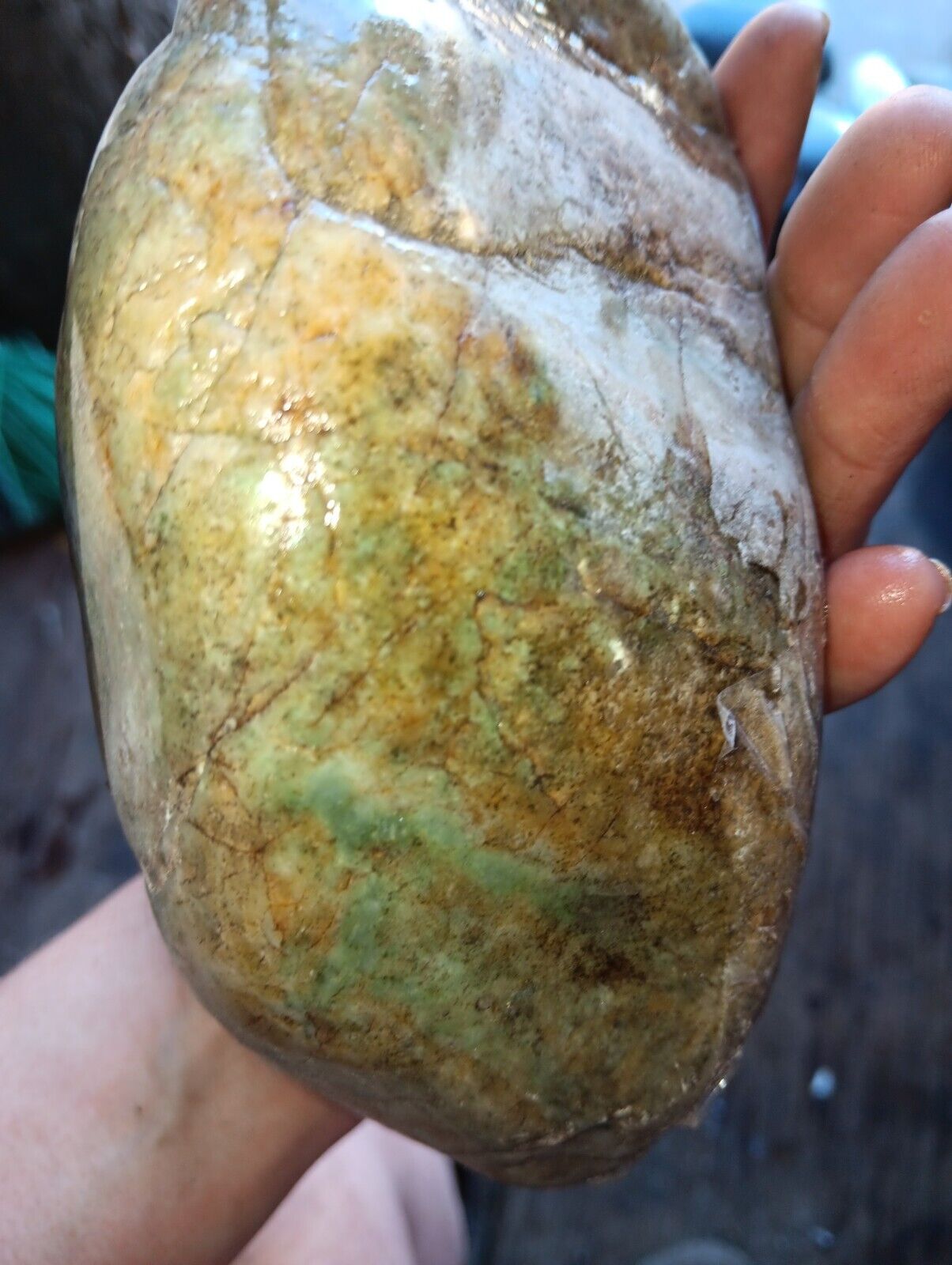 Rough Unknown Transluscent Green Grade A Rock From California