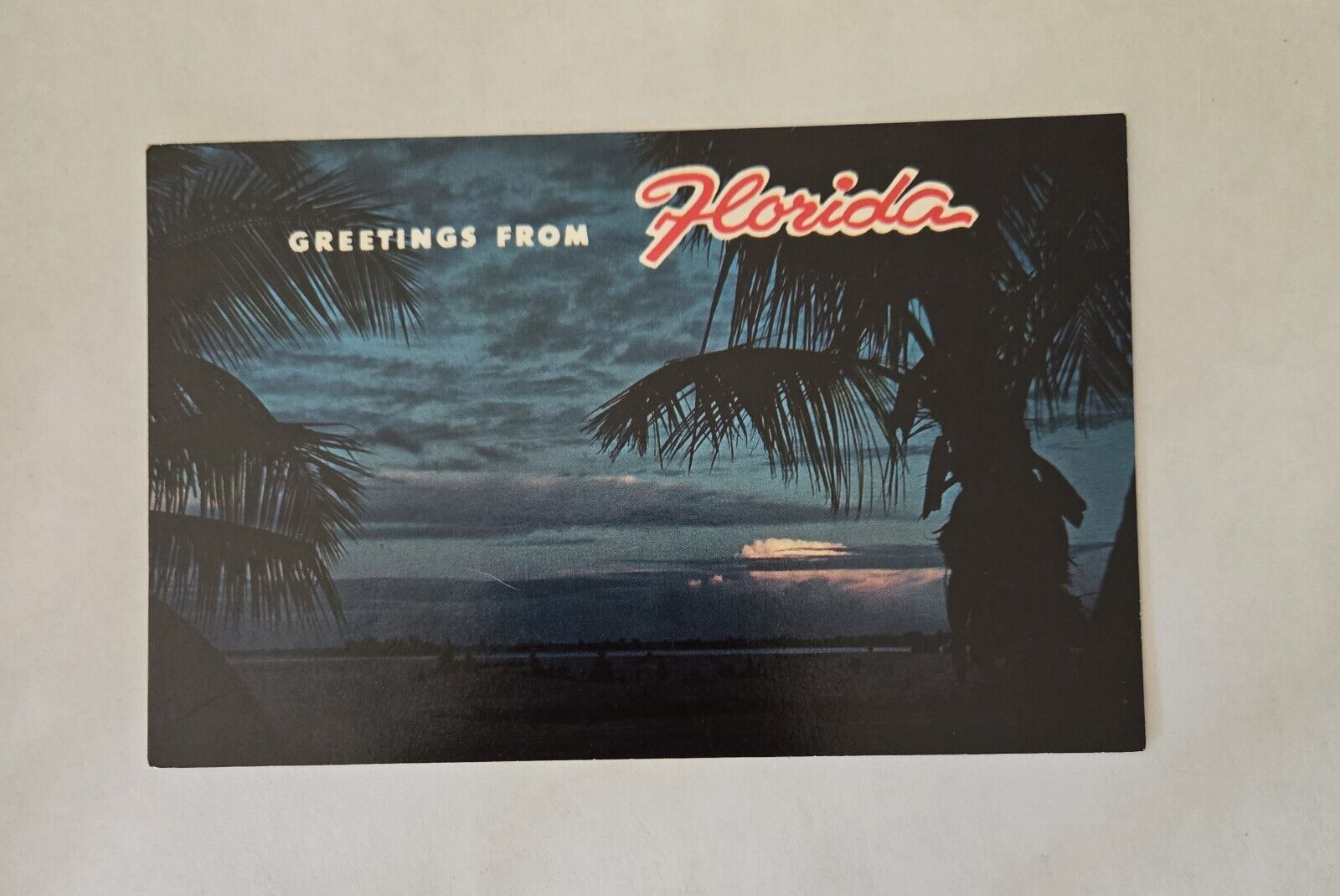Postcard - Greetings from Florida, USA