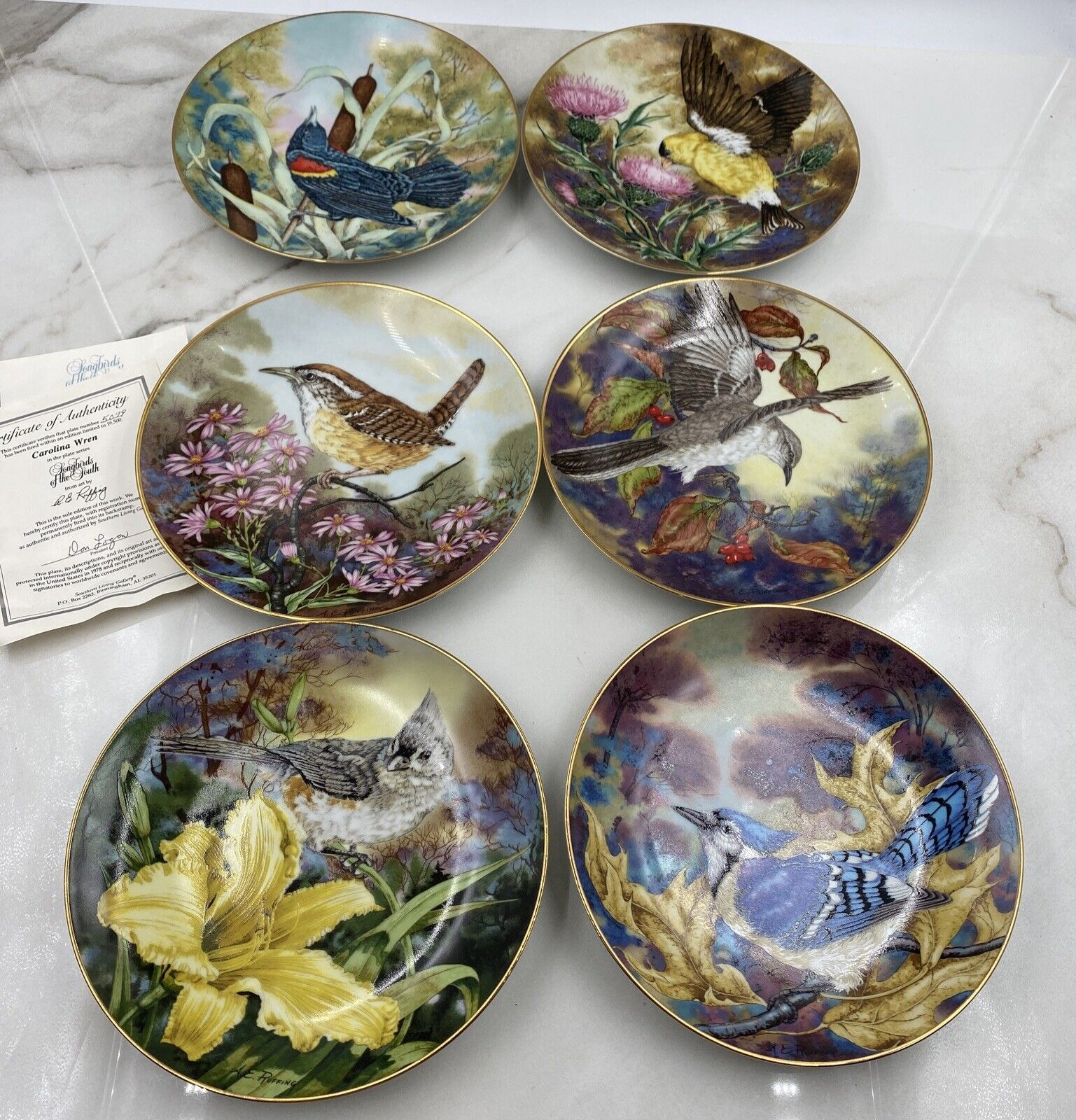 Songbirds of the South Southern Living Gallery Set of 6 Wren, Blue Jay,Blackbird