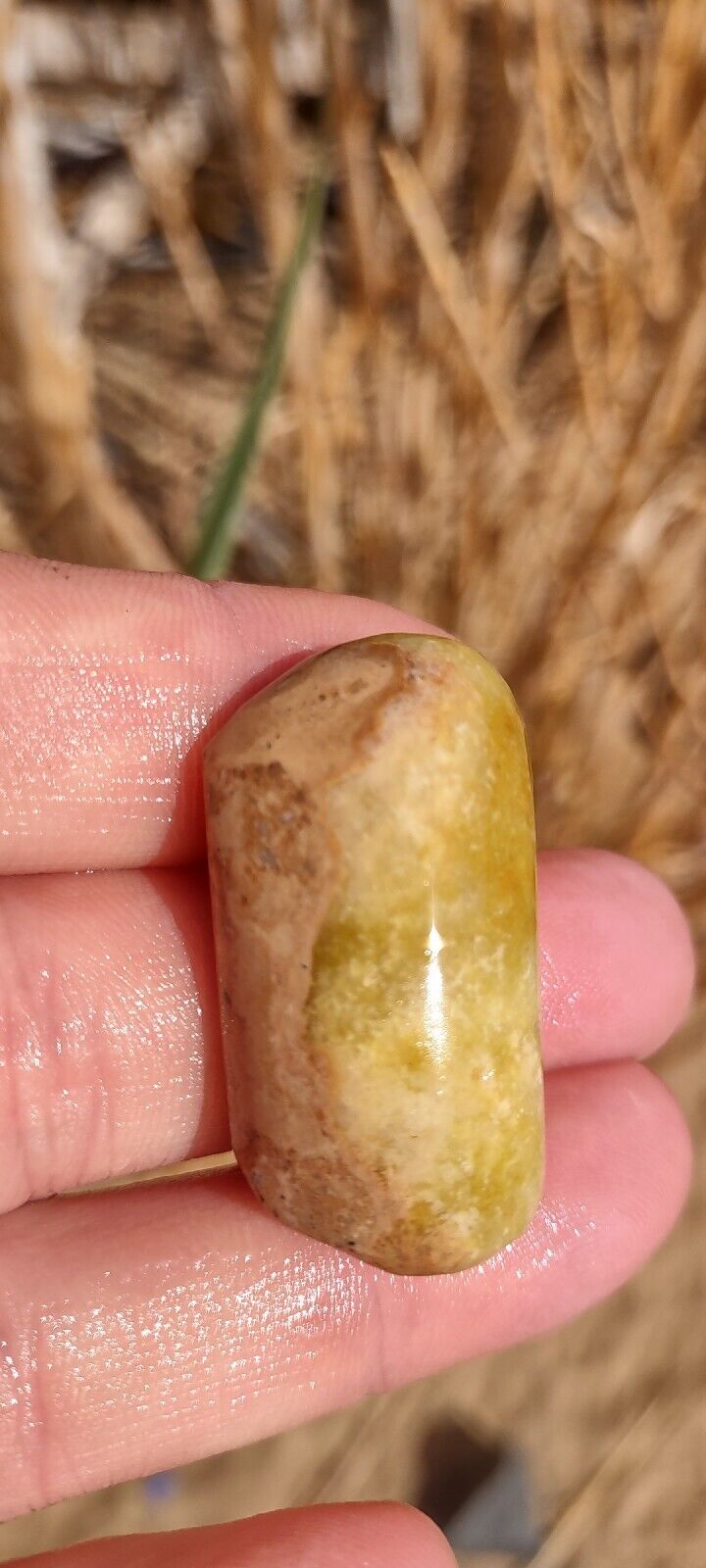 Yellow Opal UV Reactive Mojave Desert Cabochon Kryptonite Opal