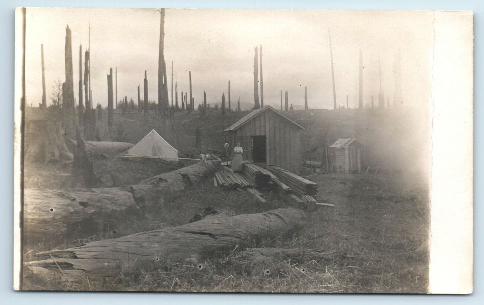 Postcard at Luna's, Nov 1912 Wood Lumber Camp shack outhouse tent RPPC B198