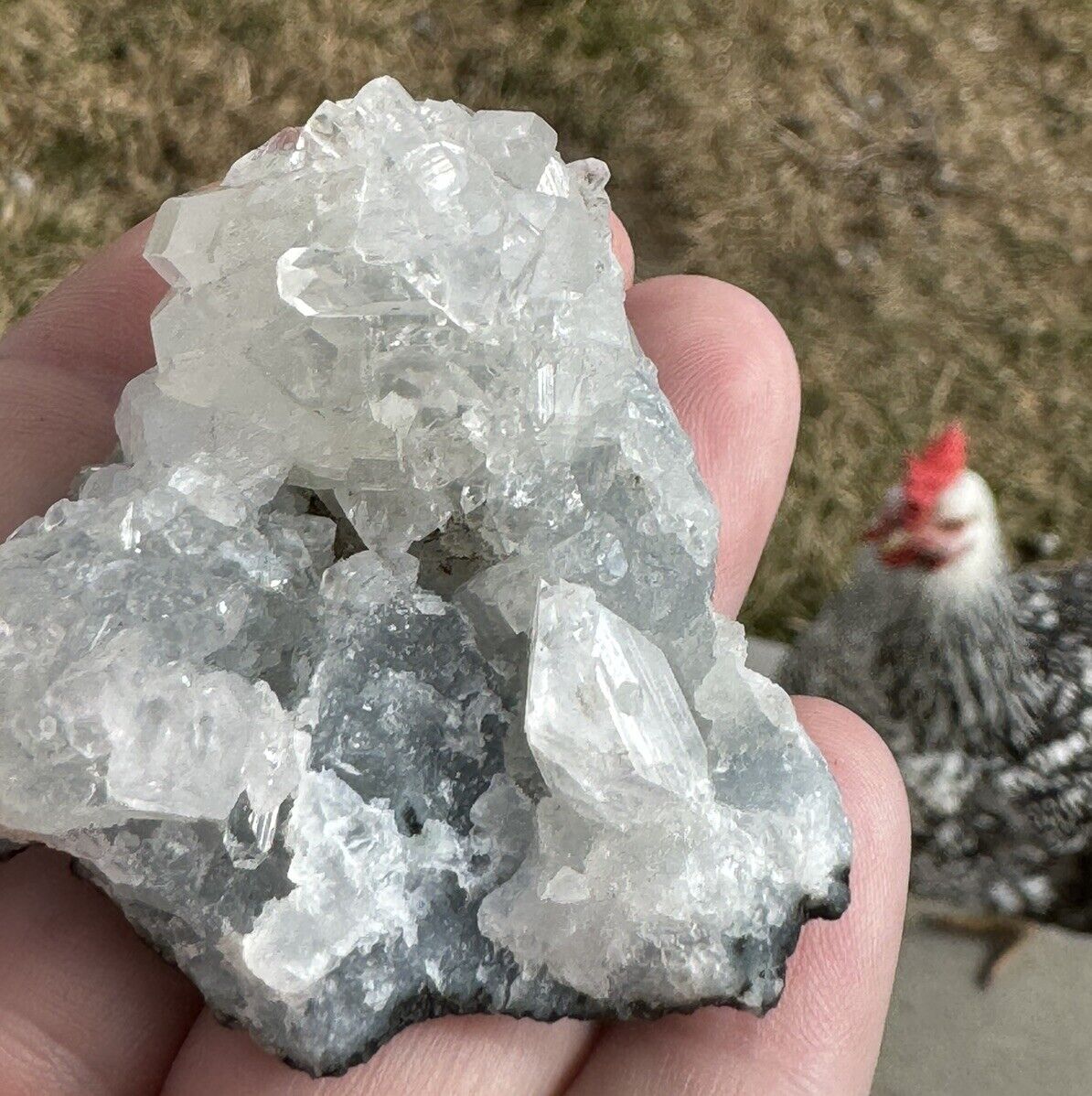 ✨Beautiful Apophyllite Crystal Cluster #A