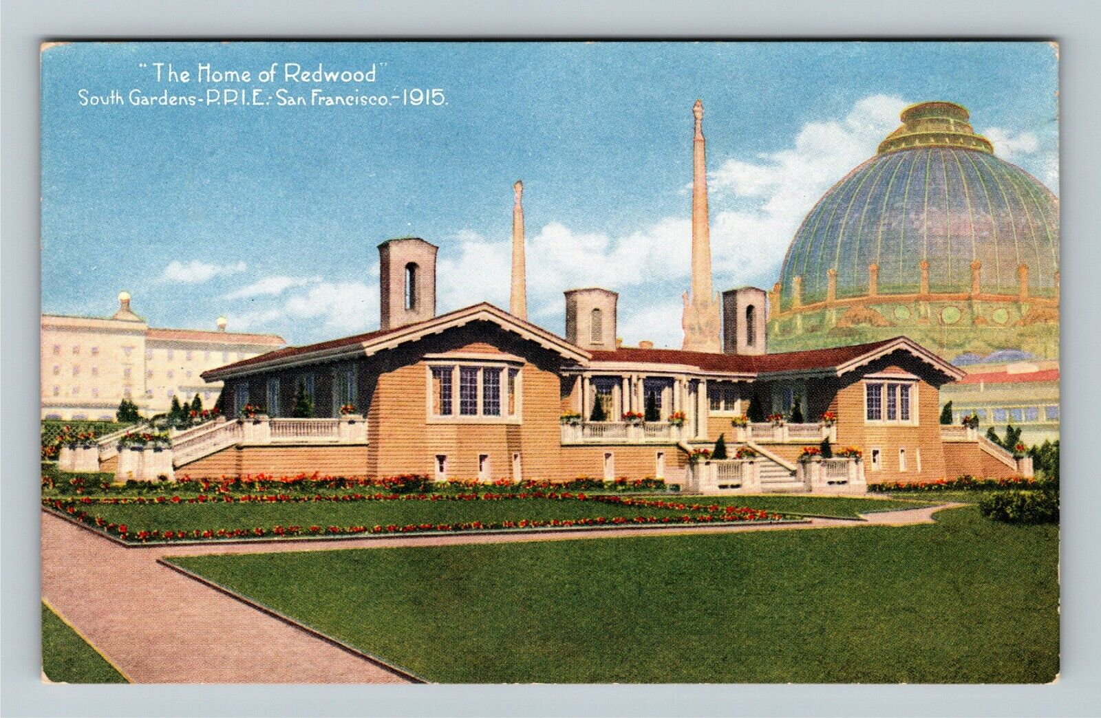 1915 Panama-Pacific Exposition Home Of Redwood Vintage Souvenir Postcard