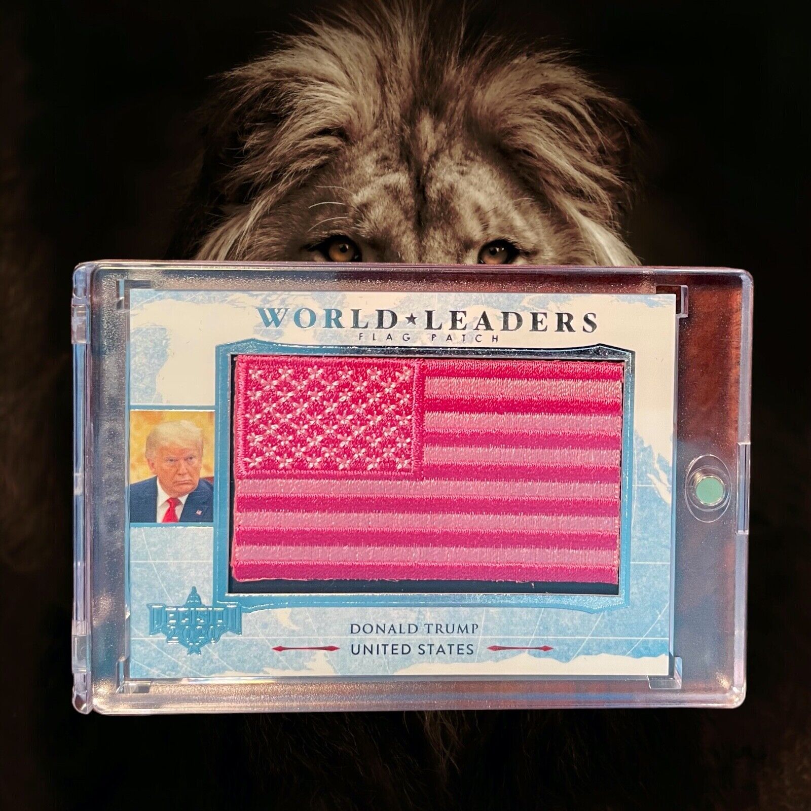 Decision 2020 Donald J. Trump World Leaders Flag Patch WL54 MAGA
