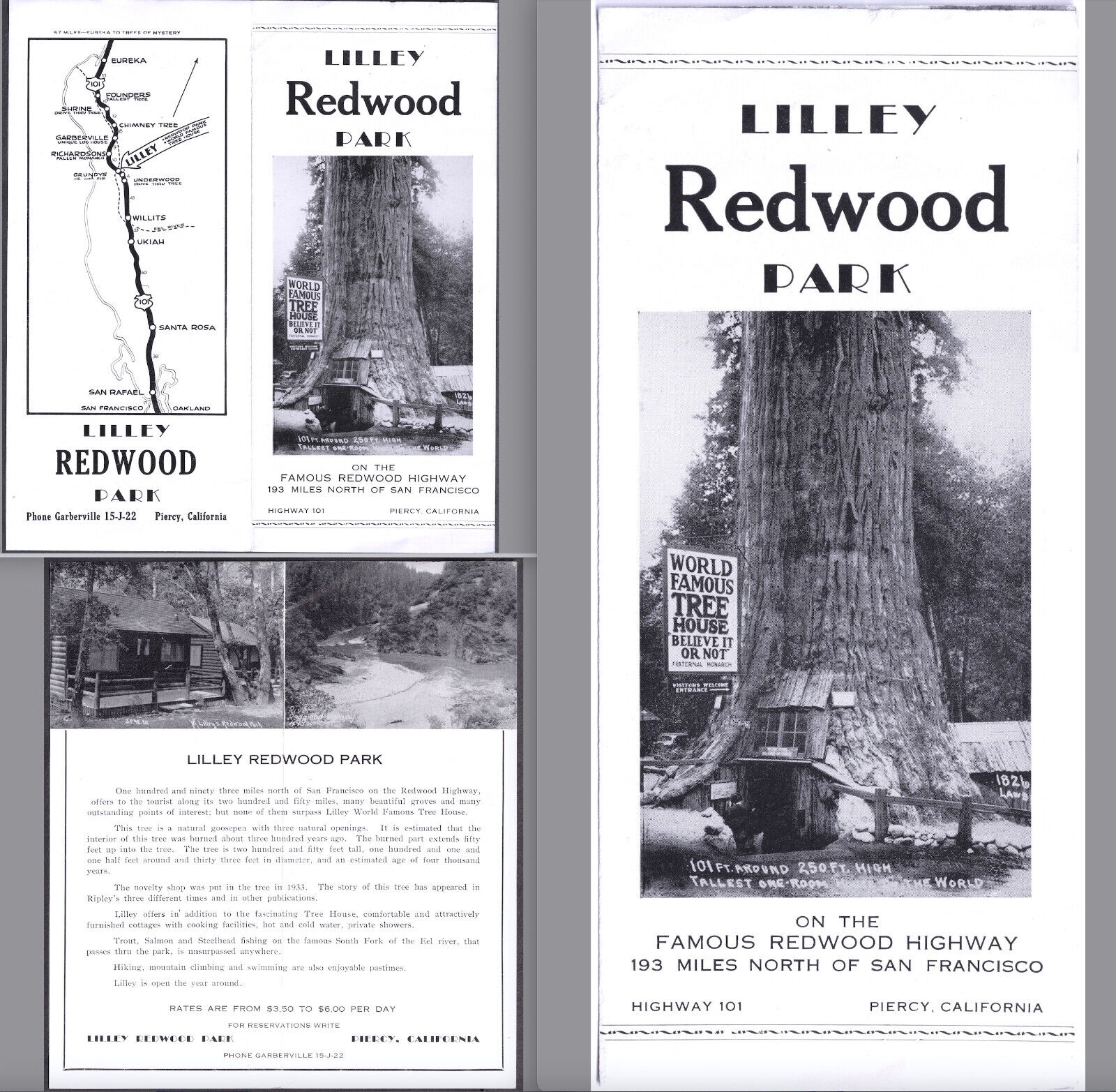 Lilley Redwood Park Brochure 1930's Piercy California Roadside Tourist Map Fold