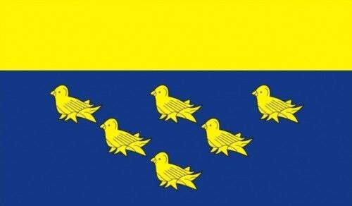 WEST SUSSEX COUNTY FLAG 5 X 3 English flags ENGLAND