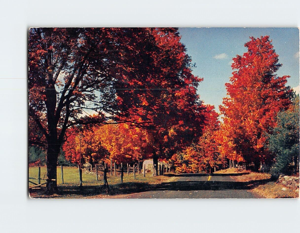 Postcard Brooklyn, Michigan