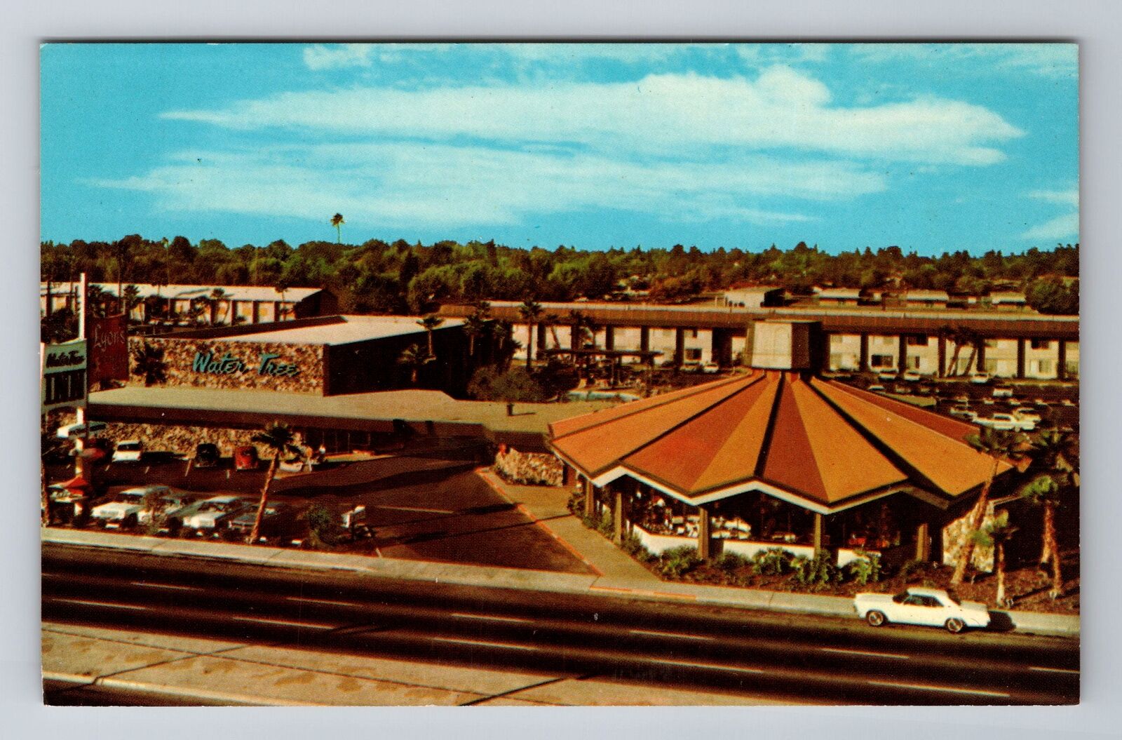 Fresno CA-California, The Water Tree Inn 60\'s Cars Advertising, Vintage Postcard
