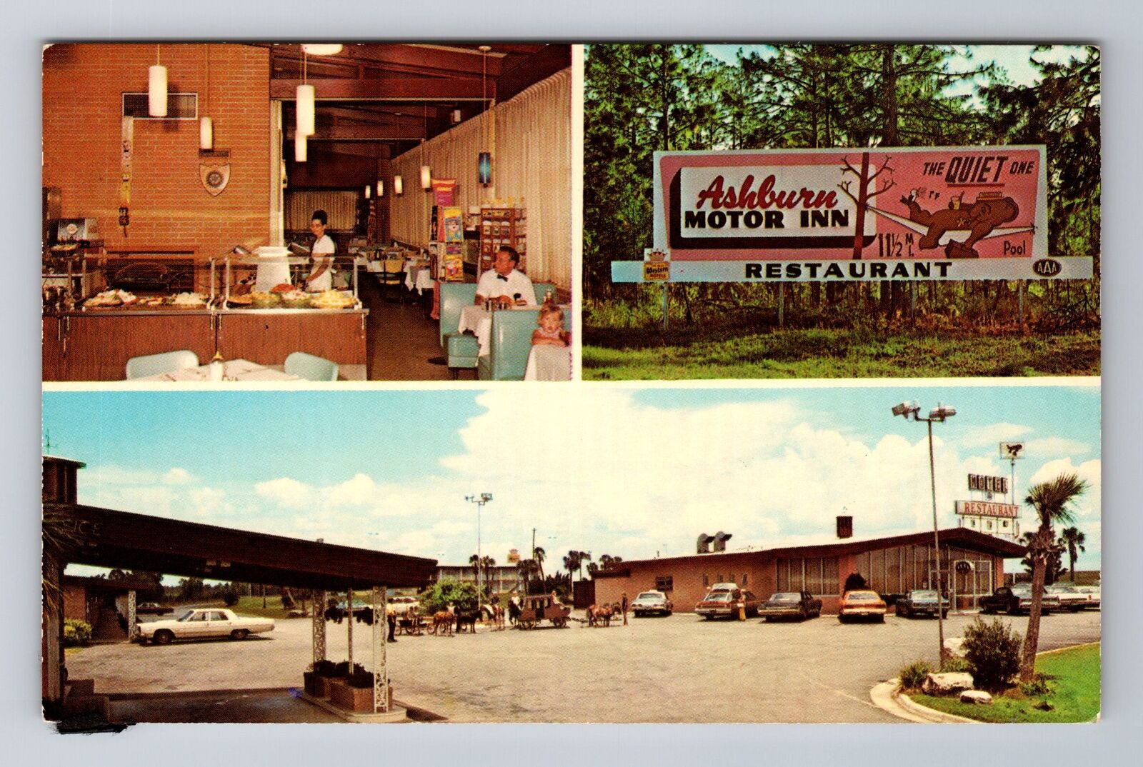 Ashburn GA-Georgia, Ashburn Motor Inn, Honeybear Restaurant, Vintage Postcard