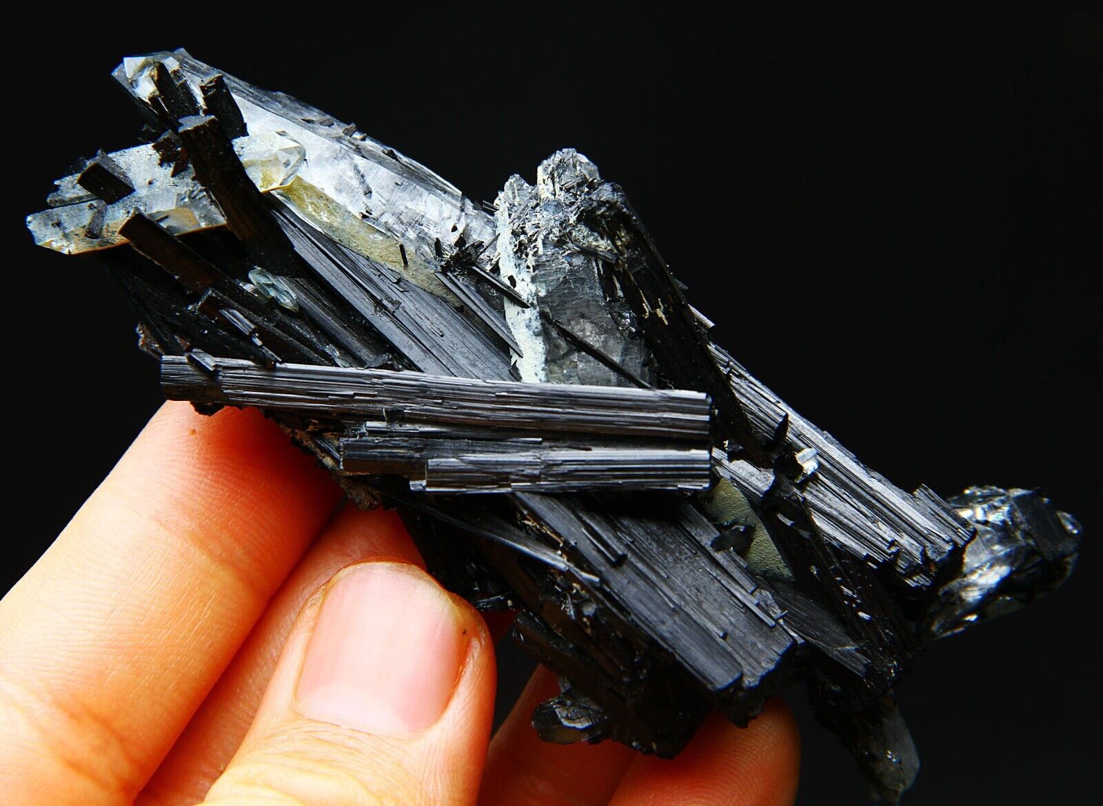 83 g natural bright black tourmaline symbiotic crystal specimen/China