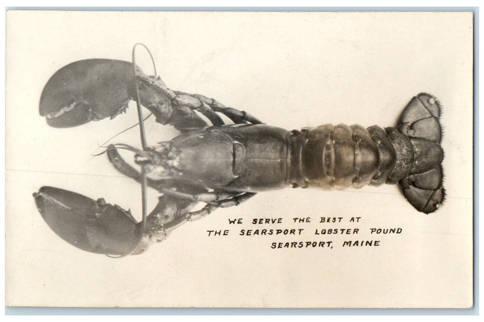 1947 The Searsport Lobster Pound Searsport Maine ME Vintage RPPC Photo Postcard