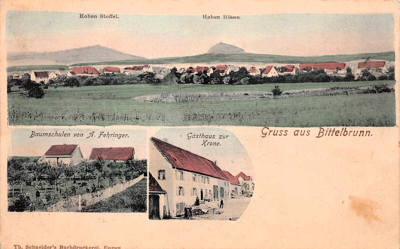 Bittelbrunn Engen Germany Early 1900s Gasthaus zur Krone vineyard Postcard D30
