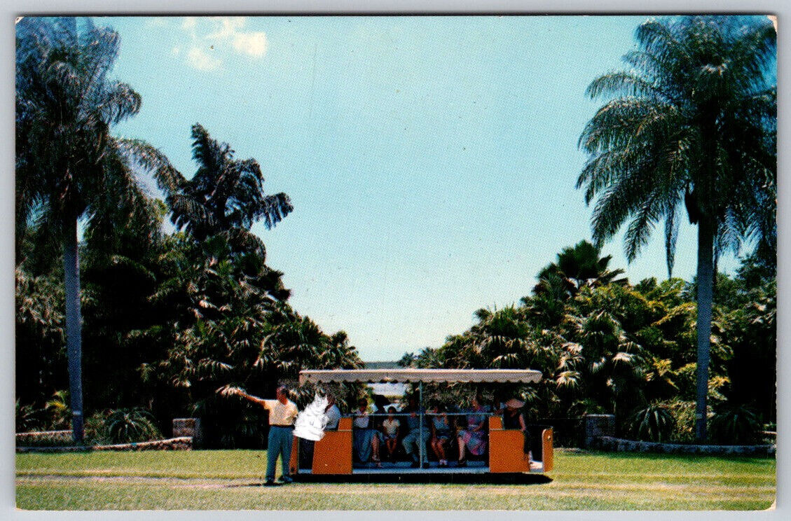 The Rambler Tours Fairchild Tropical Garden Coral Gables FL Florida Postcard