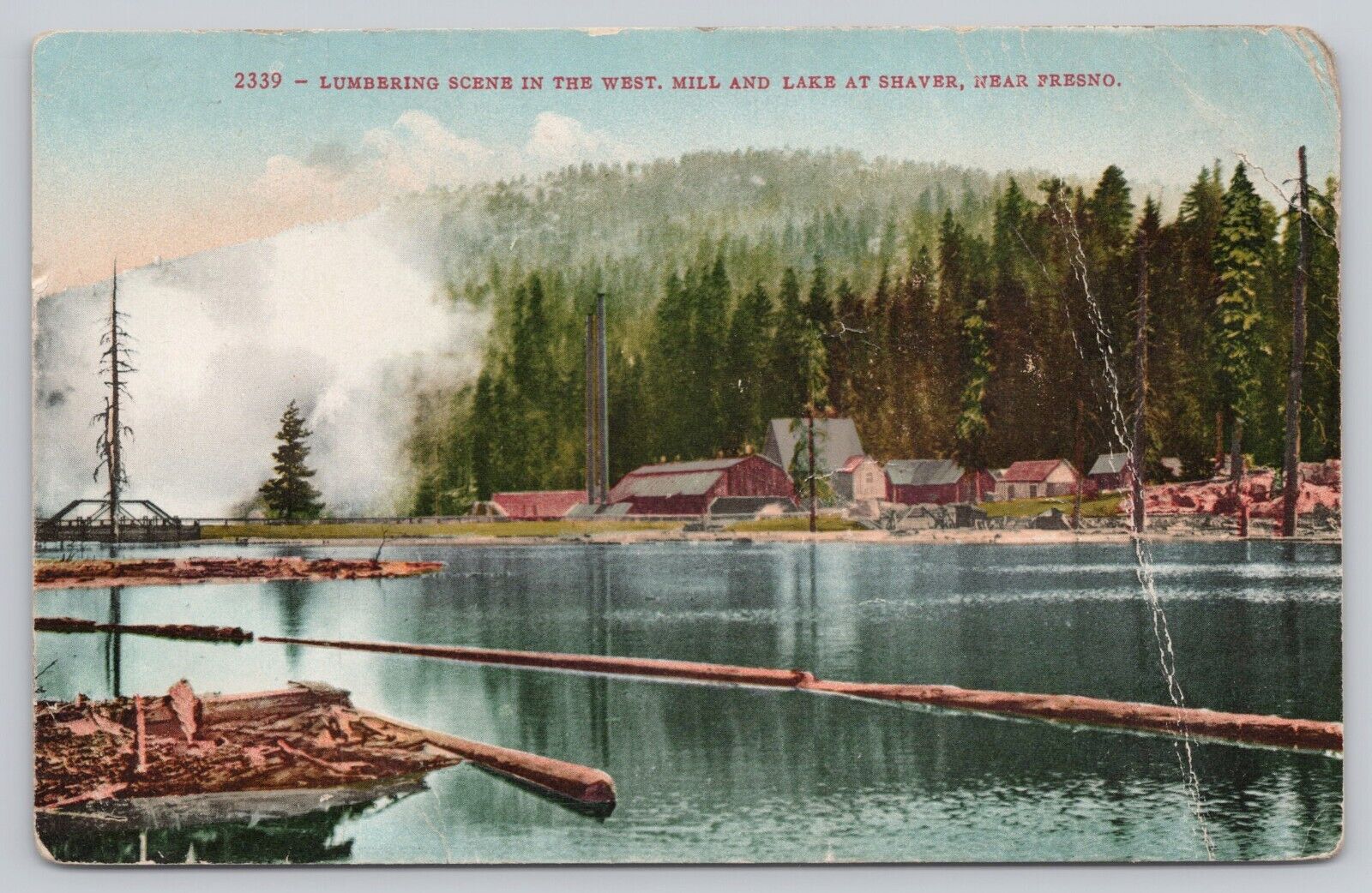 Shaver Lake California, Lumber Logging Mill Scene near Fresno, Vintage Postcard