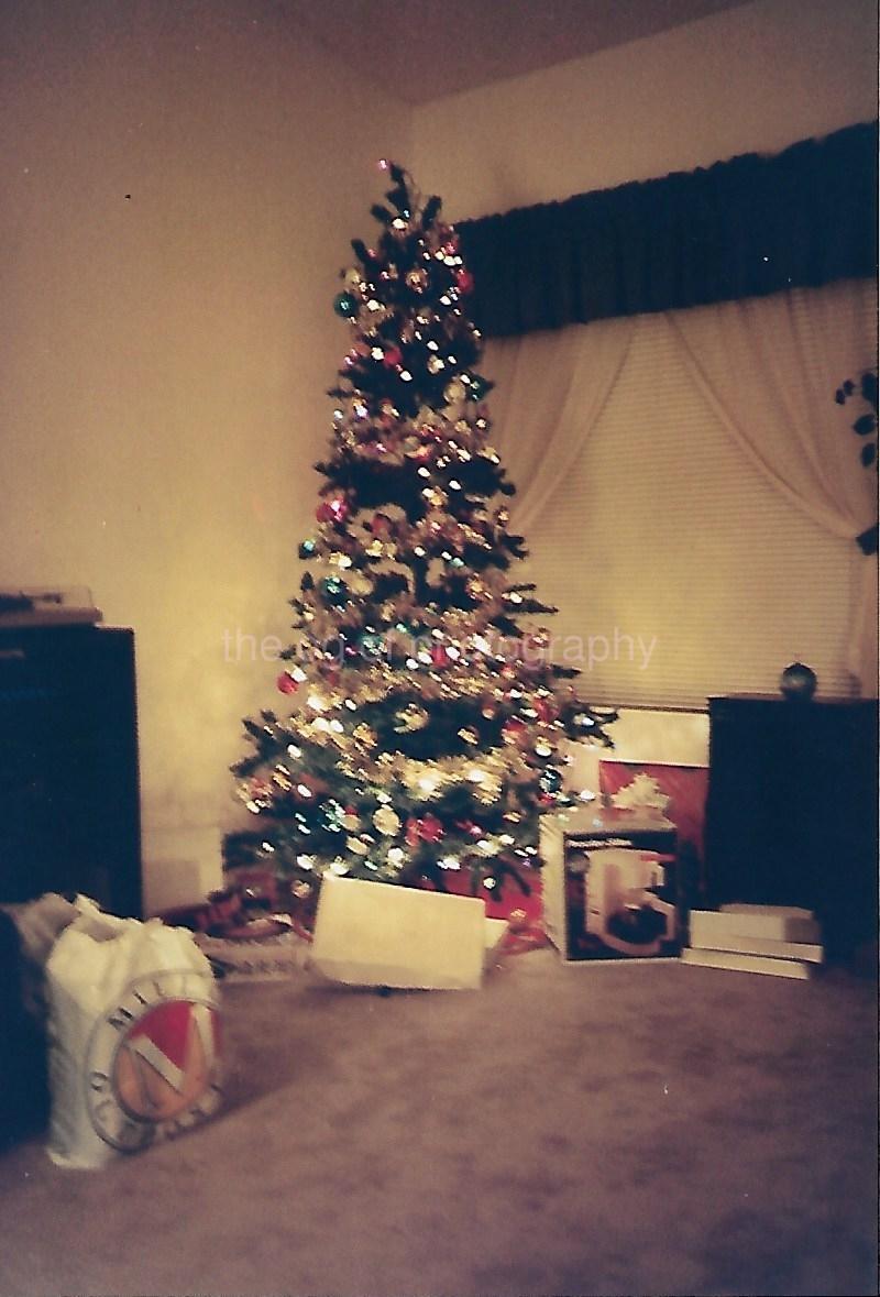 FOUND CHRISTMAS TREE PHOTOGRAPH Color ORIGINAL Snapshot VINTAGE 312 55 V
