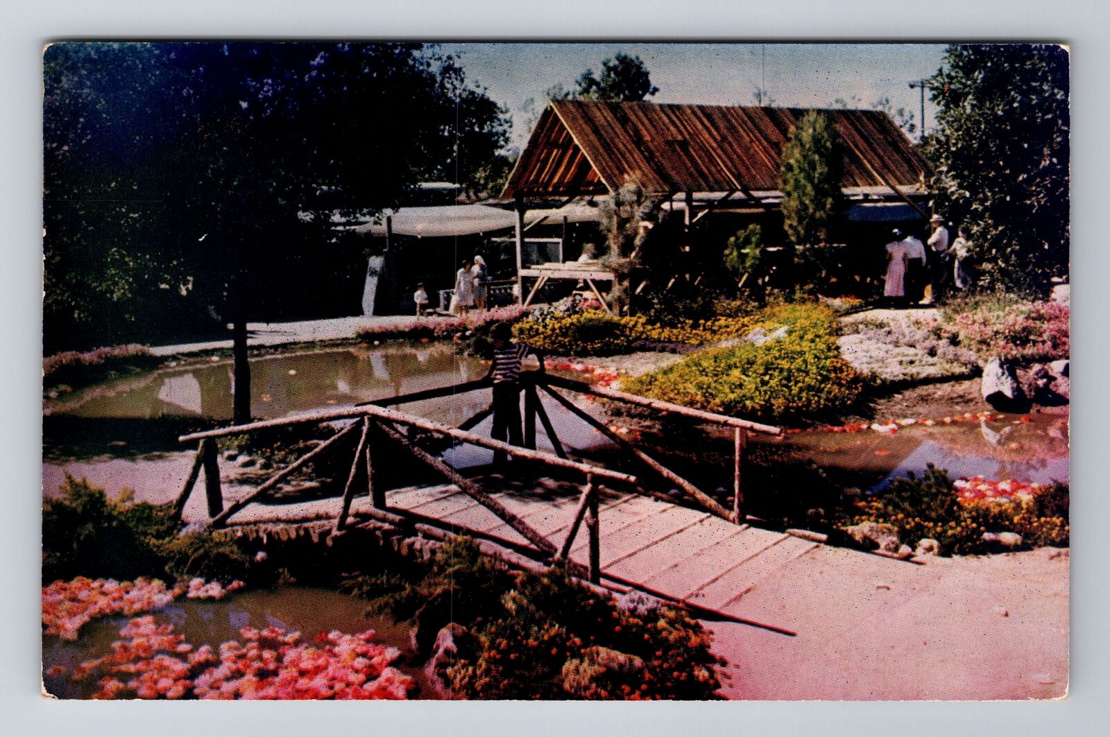 San Francisco CA-California, Outdoor Flower Exhibit, Stait Fair Vintage Postcard