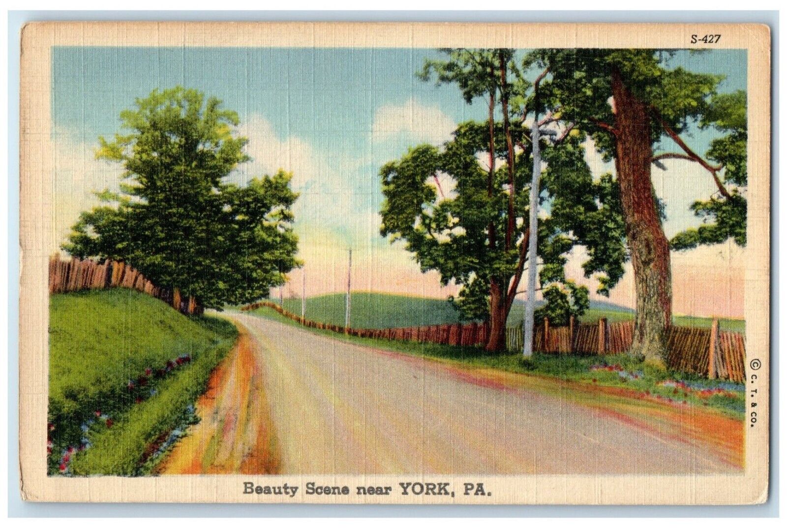 c1940 Beauty Scene Near Street Road Trees York Pennsylvania PA Vintage Postcard