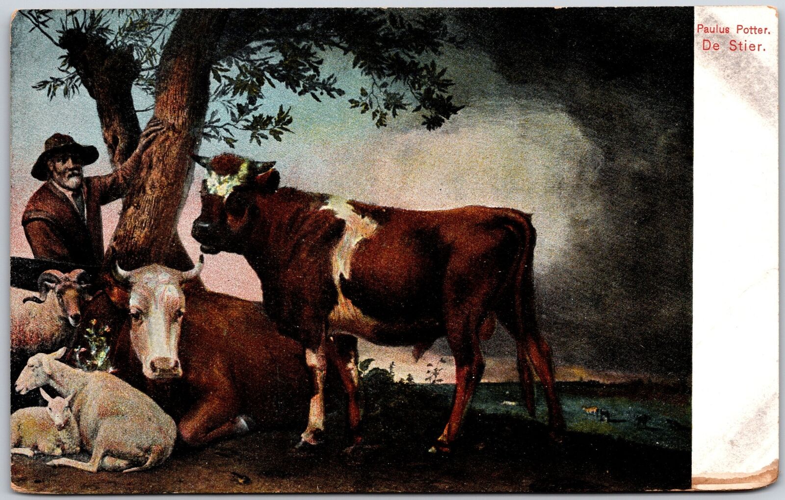 The Bull De Stier Paulus Potter Oil Painting The Hague in Netherlands Postcard