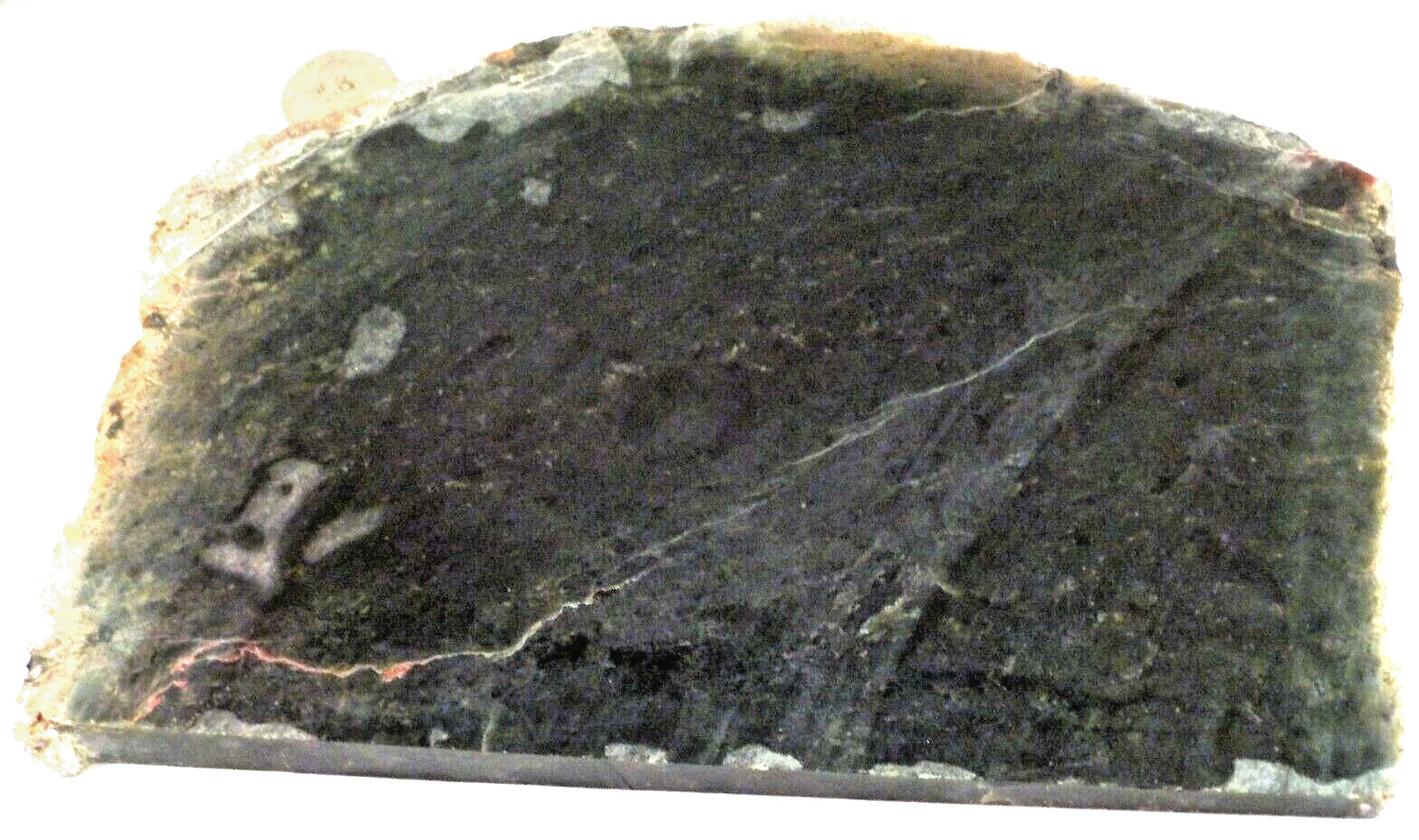Large Nephrite Jade B.C. 2.07 Pounds Uneven Cut  1st Pic Wet #3219