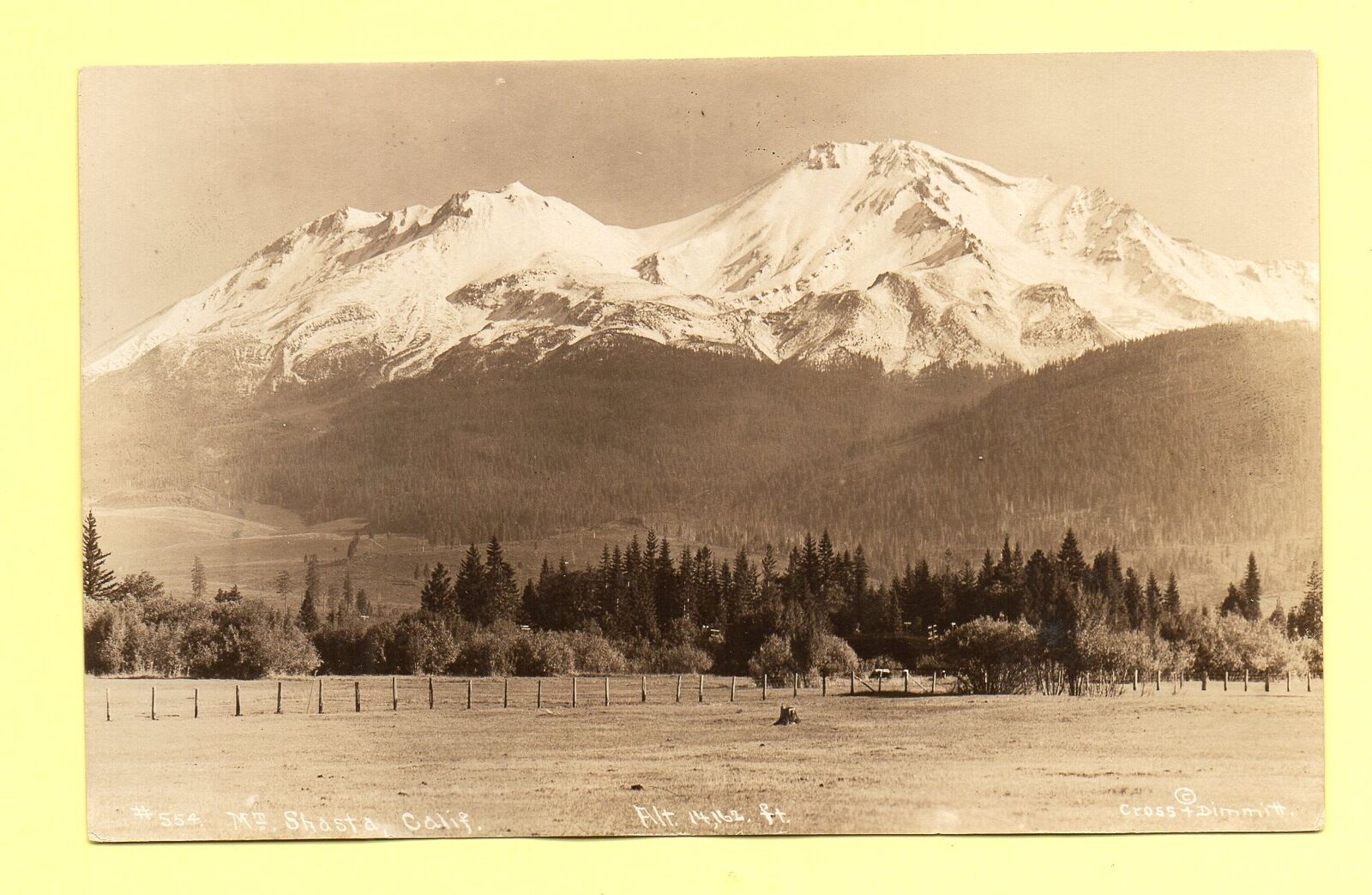 Mount Shasta California 1920's Postcard RPPC copyright Cross & Dimmitt