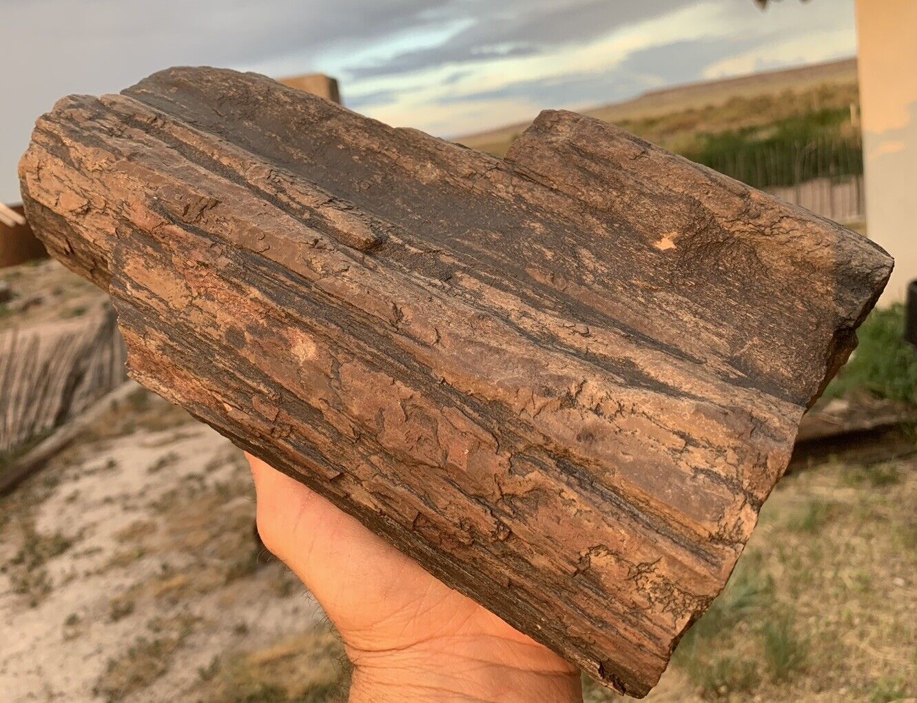 ☘️RR⚒: Detailed Solid Arizona Petrified Wood Log 9 Lb