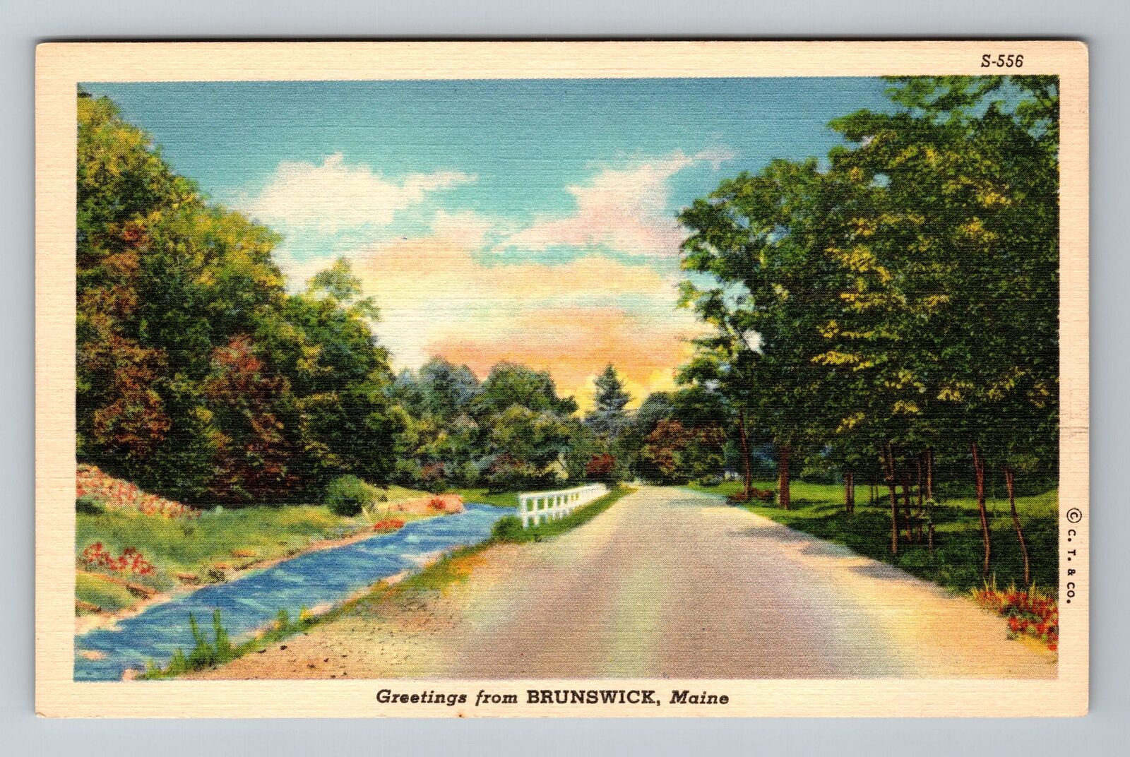 Brunswick ME-Maine, Scenic Greetings, Vintage Postcard