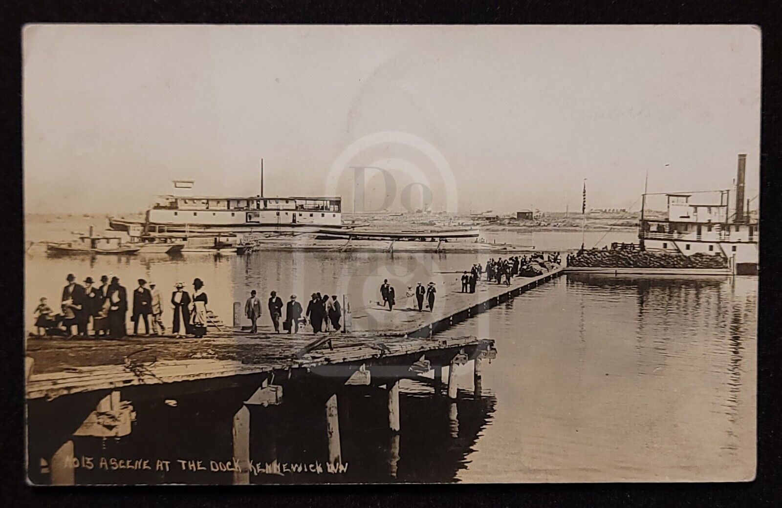 Rare RPPC of Steamers Docked in Kennewick, Washington. Columbia River. C 1913
