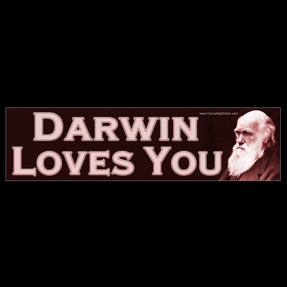 Darwin Loves You BUMPER STICKER or MAGNET decal magnetic atheist atheism skeptic