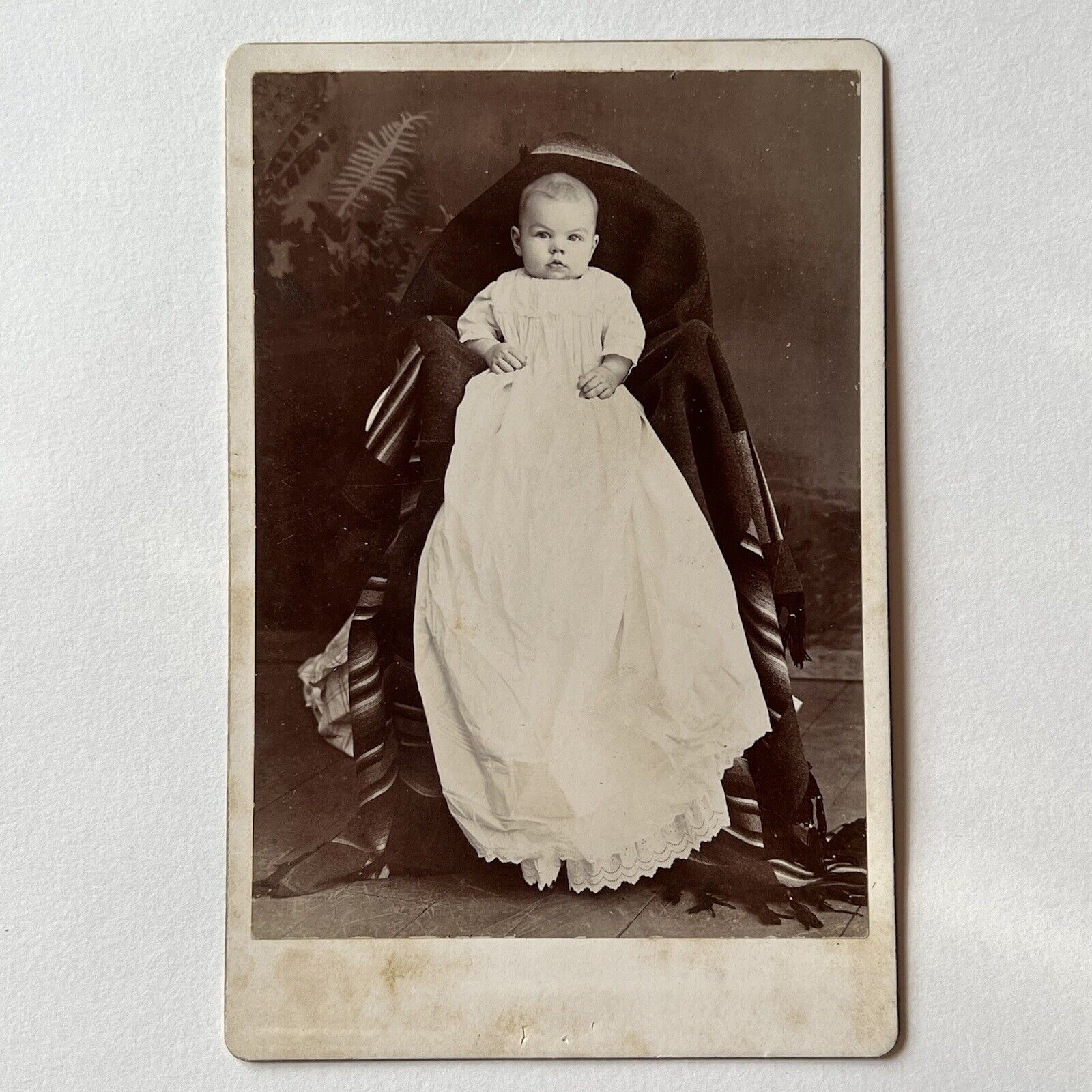 Antique Cabinet Card Photograph Adorable Baby Hidden Mother Park Ridge IL