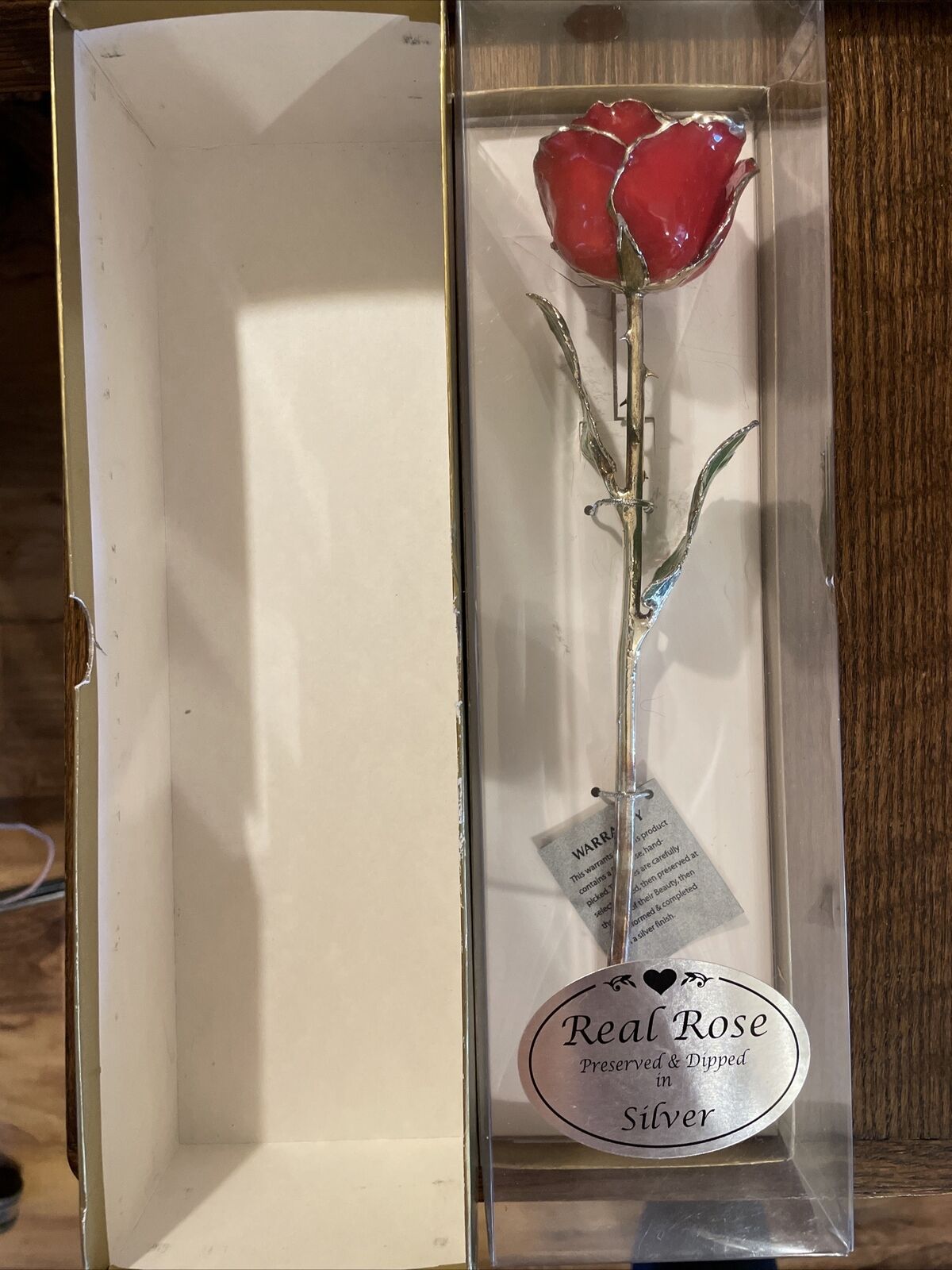 Vintage Real Red Rose Preserved & Dipped In Silver Valentines Day Forever Rose