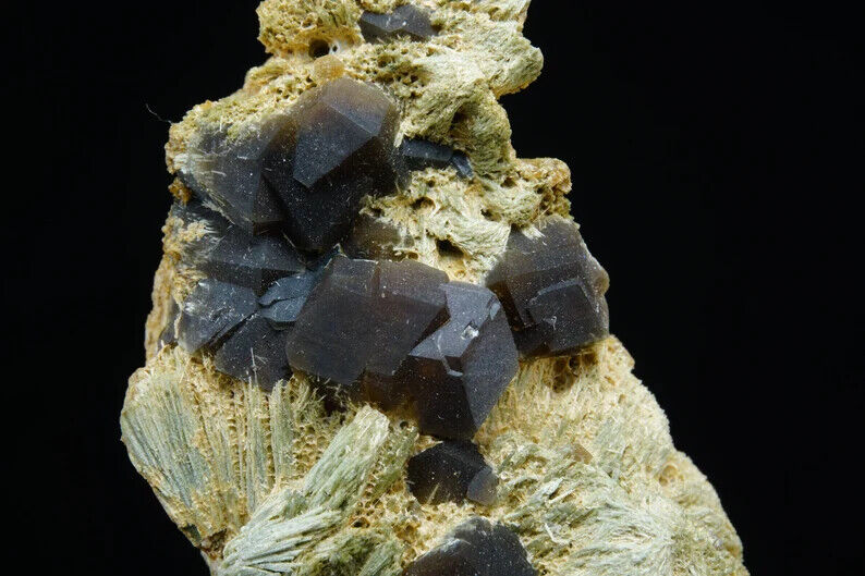 Andradite Garnet / 5.9cm Classic Mineral Specimen / Stanley Butte, Arizona