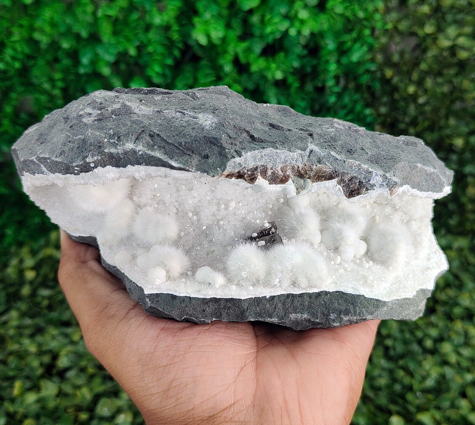 Natural Okenite with Gyrolite & Calcite in Geode Mineral Specimen #E24