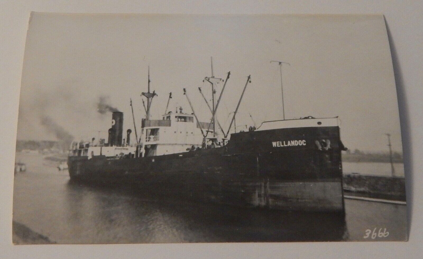 Steamship Steamer WELLANDOC real photo postcard RPPC