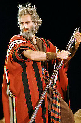 Charlton Heston as Moses holding staff The Ten Commandments 11x17 Mini Poster