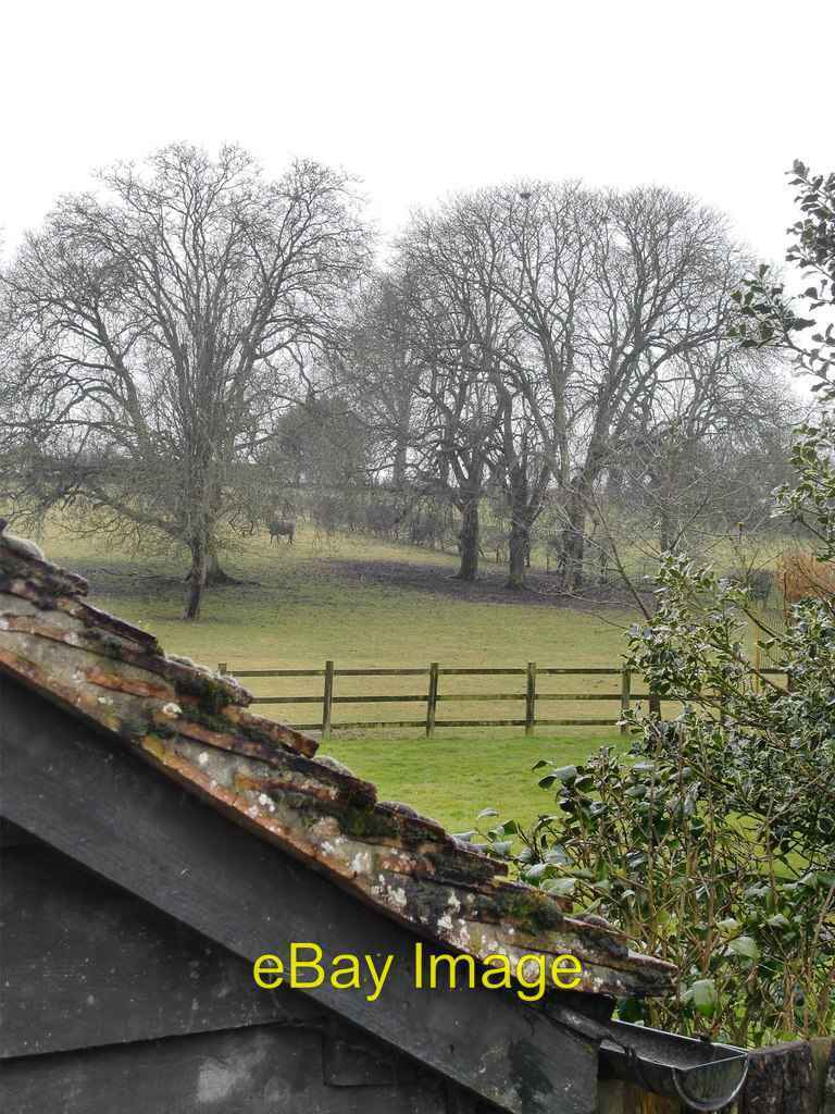 Photo 6x4 View from Sear's Barn in rain With horses grazing the fields ne c2013