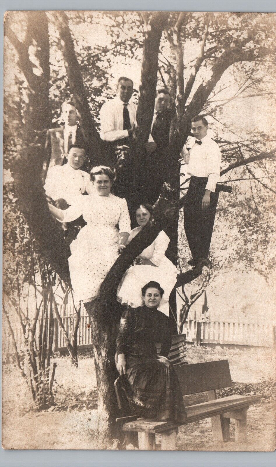 LADIES CLIMB TREE PARTY portland or real photo postcard rppc oregon history