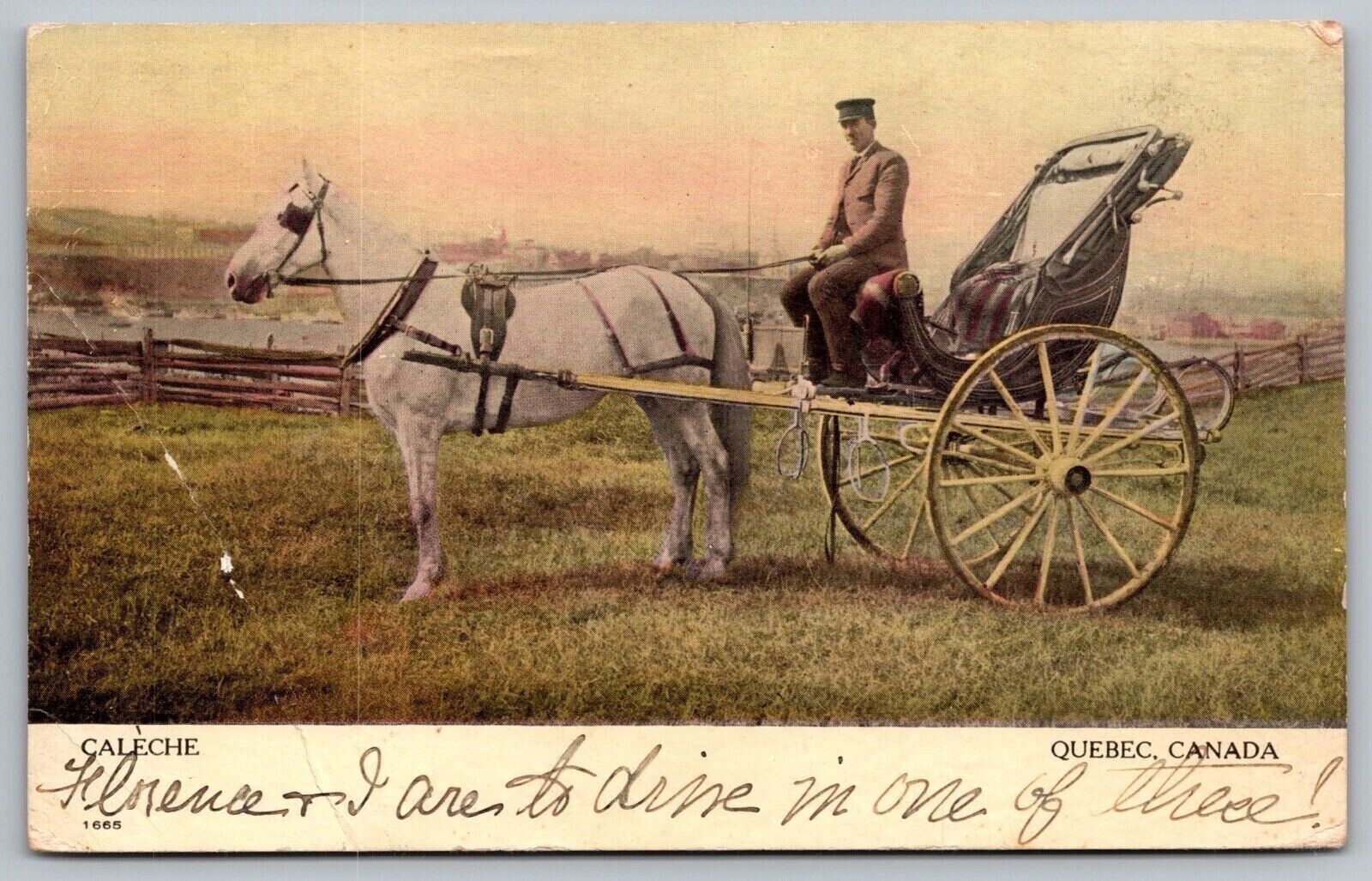 Caleche Quebec City Canada Horse Buggy Carriage Animal WOB Vintage UNP Postcard