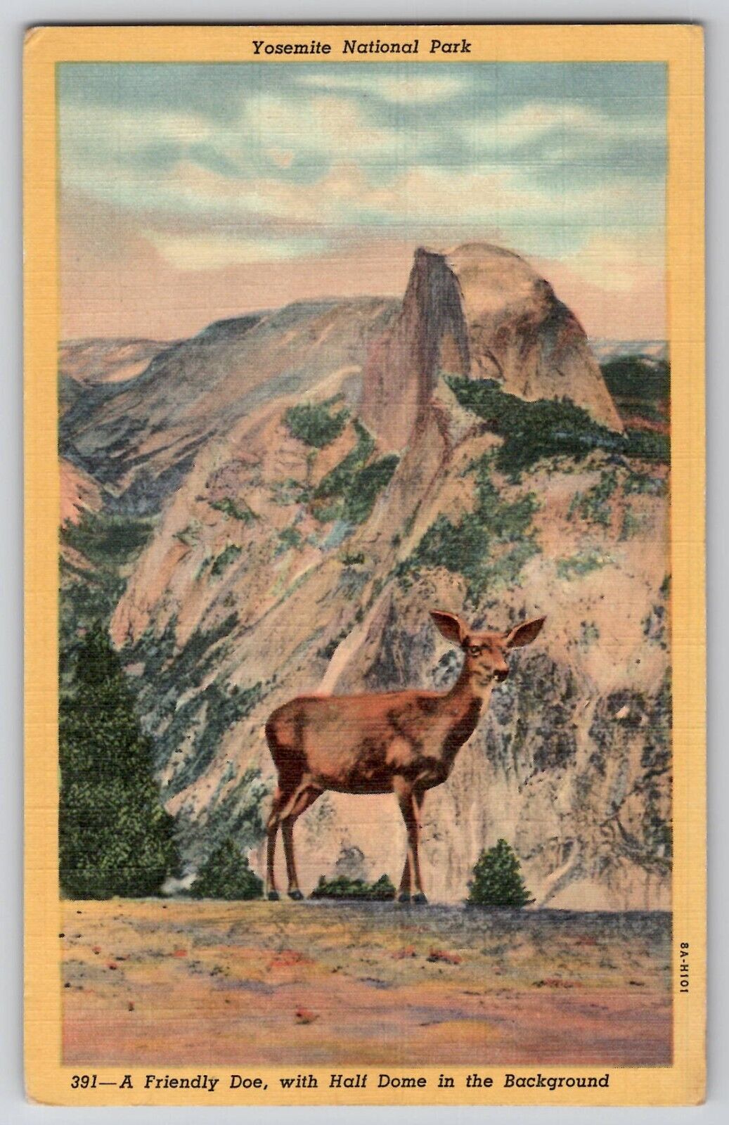 Yosemite National Park Deer Doe Half Dome CA Linen Vtg Postcard 1930-40\'s Unused