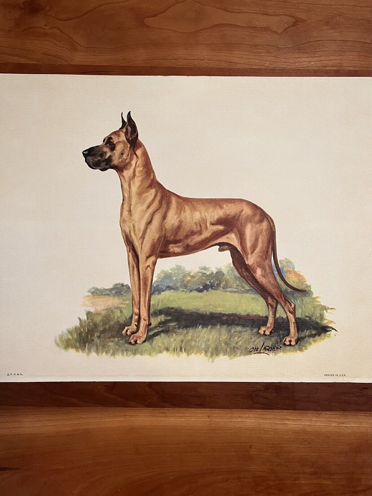Vintage Ole Larsen Dog Print Great Dane