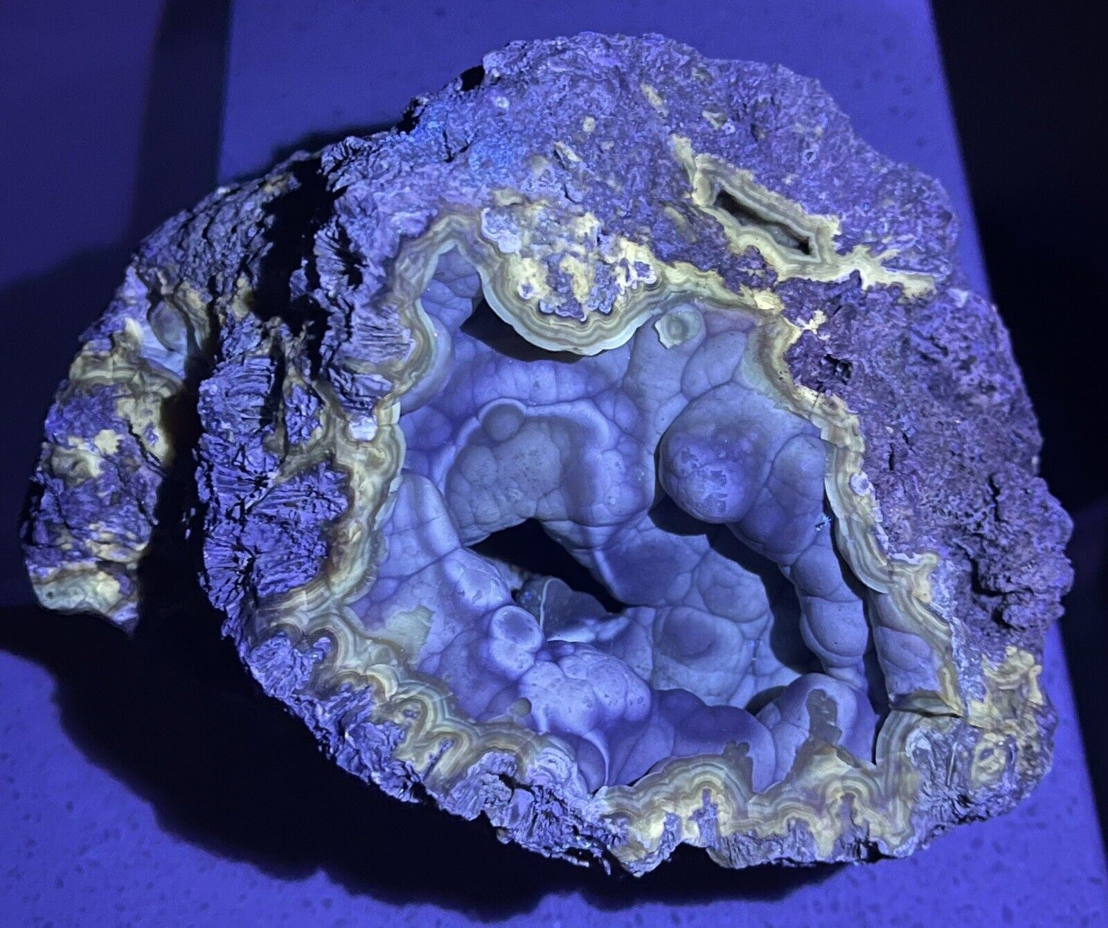 4lb+ Fluorescent Agatized Coral Fossil Geode Botryoidal Blue Agate Tampa Bay