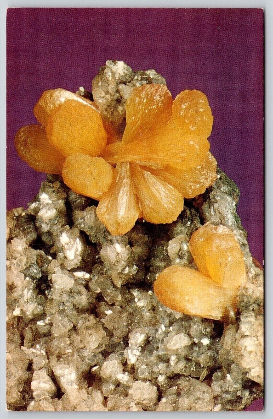 Stilbite New Jersey Tectosilicate Hydrothermal Mineral Rock Vintage UNP Postcard