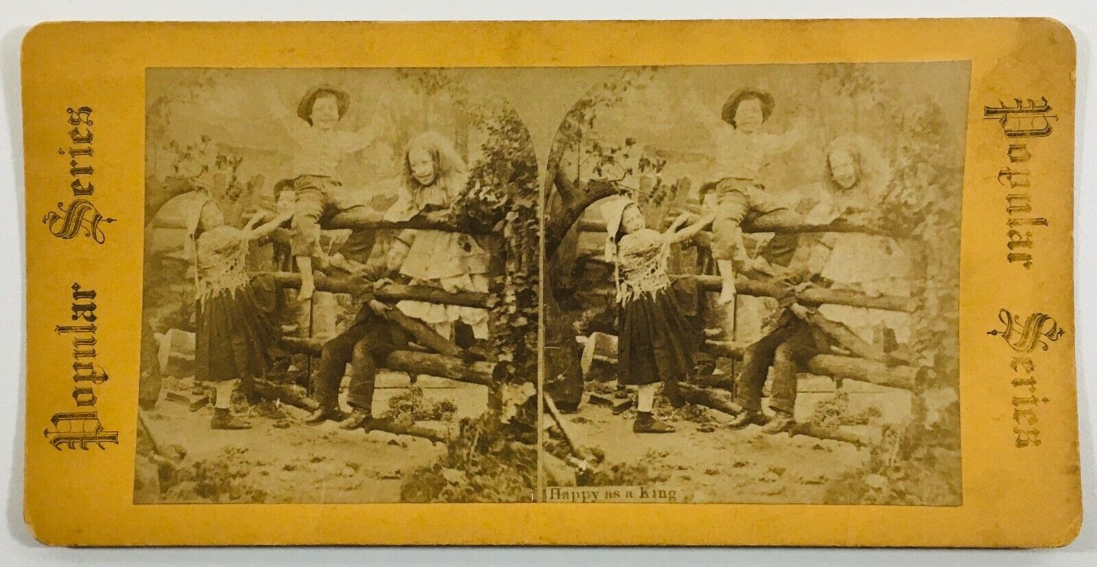 1880's-90's Stereoview Card Happy as a King