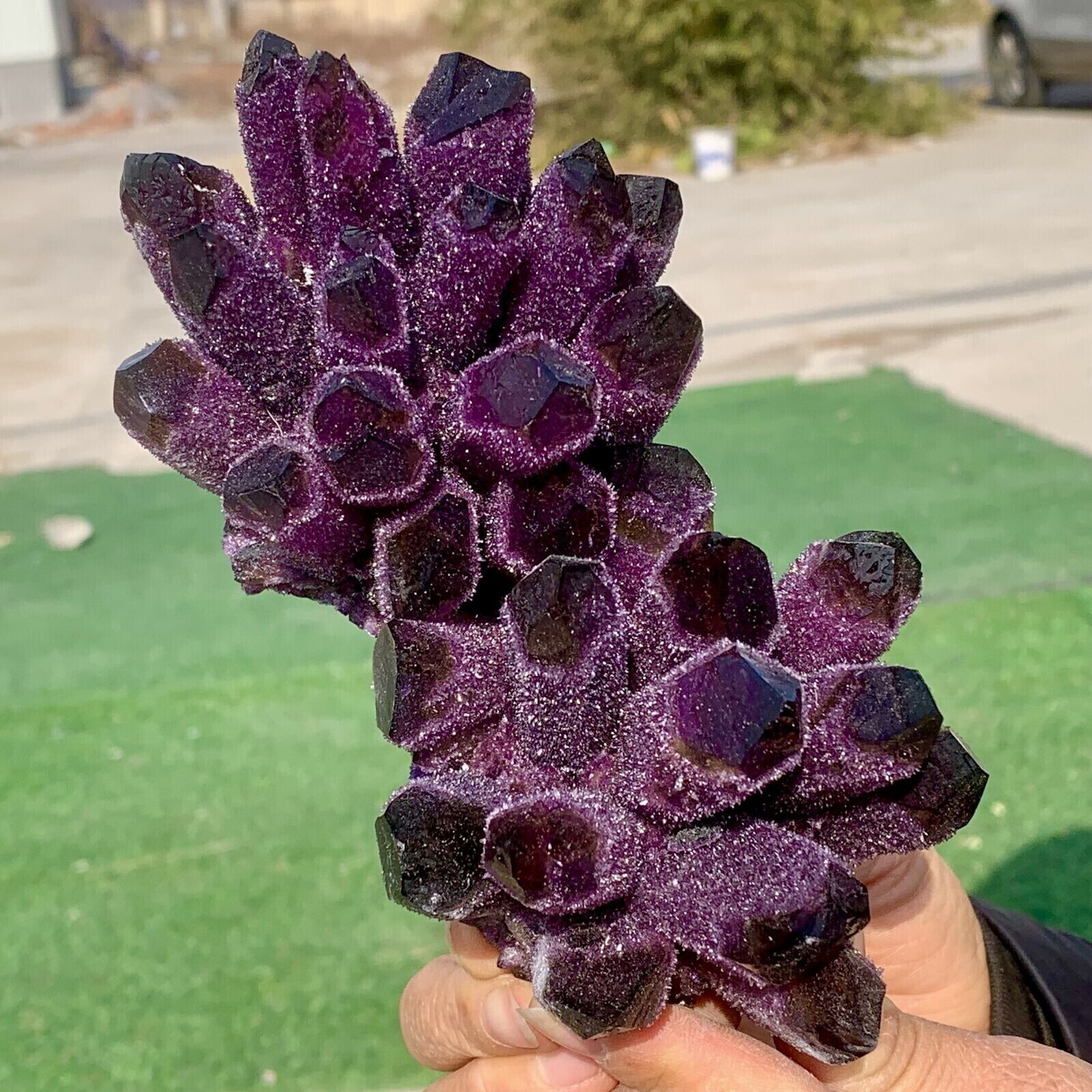 310g+ Raw Dark Purple Phantom Amethyst Cluster Crystal Geode Specimens Ornament