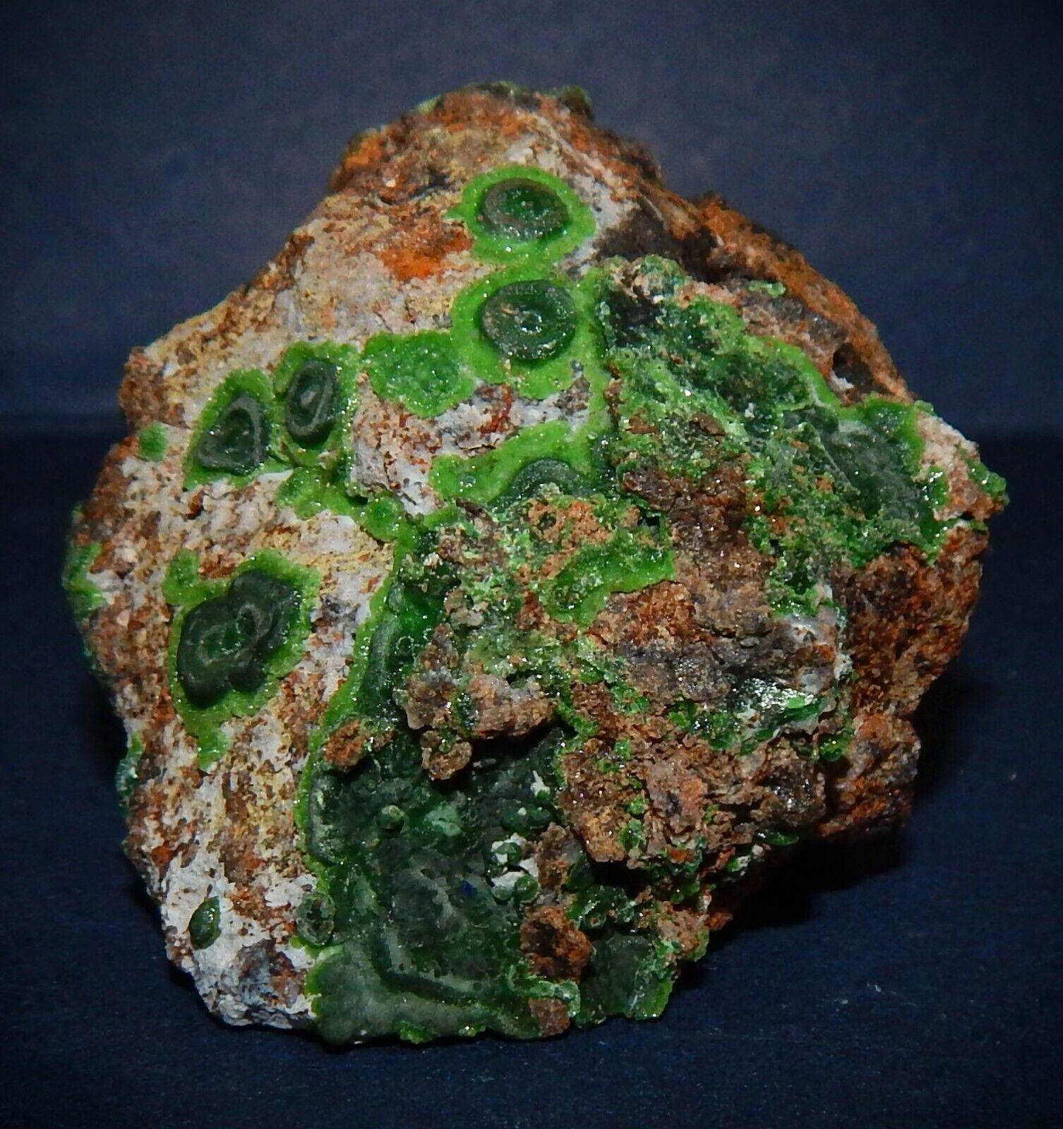 The Glory Hole  Conichalcite & Rings of Cuproaustinite-Gold Hill Mine-Utah