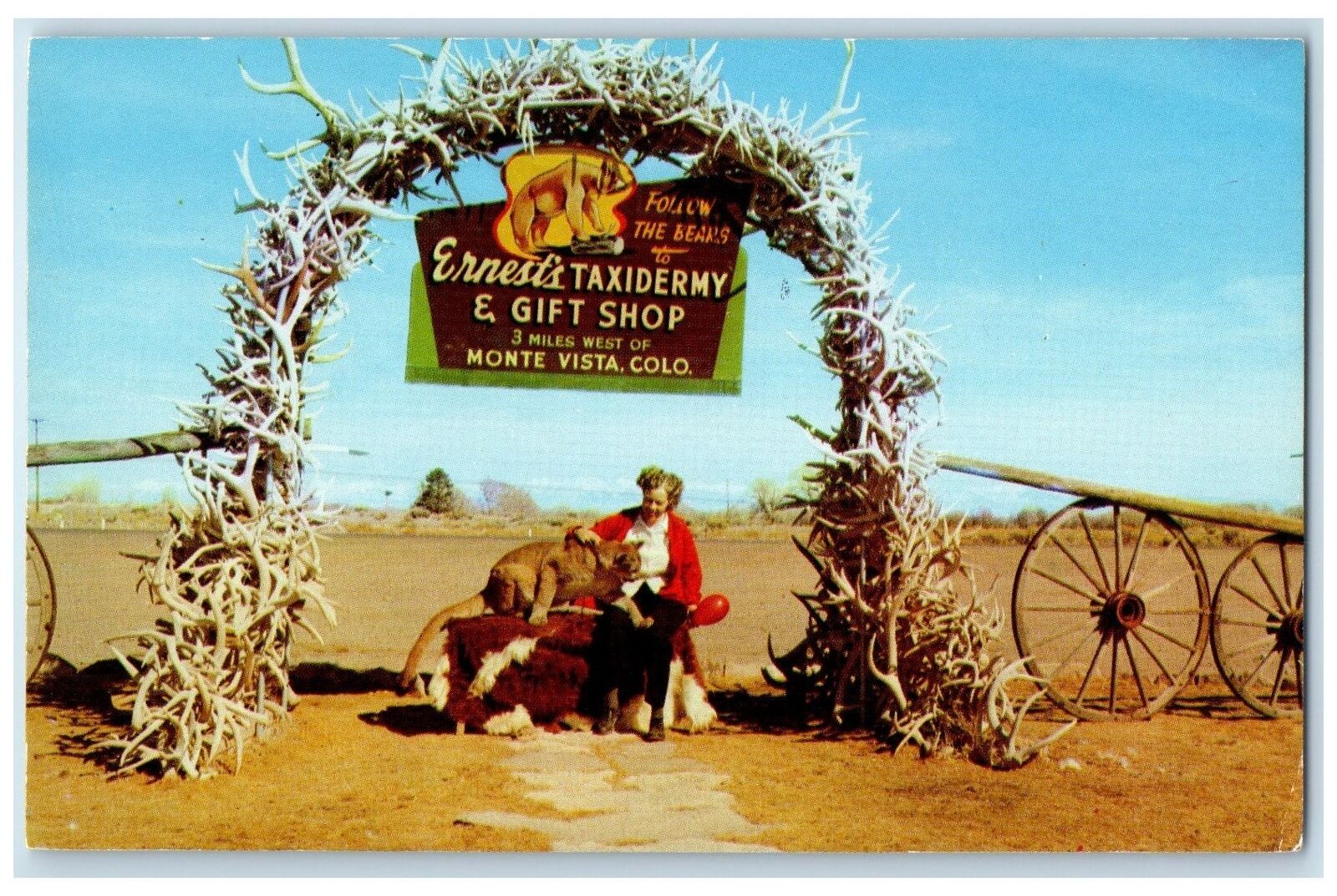 c1960's Ernest's Taxidermy And Gift Shop Scene Monte Vista Colorado CO Postcard