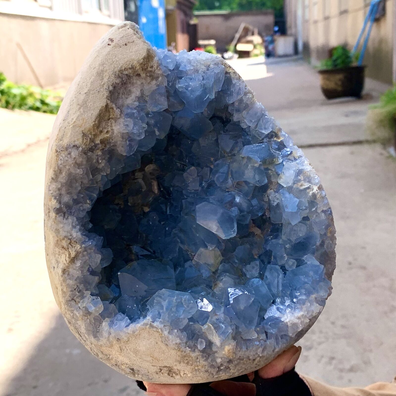 9.65LB Natural Blue Celestite Geode QuartzCrystal Mineral Specimen Healing