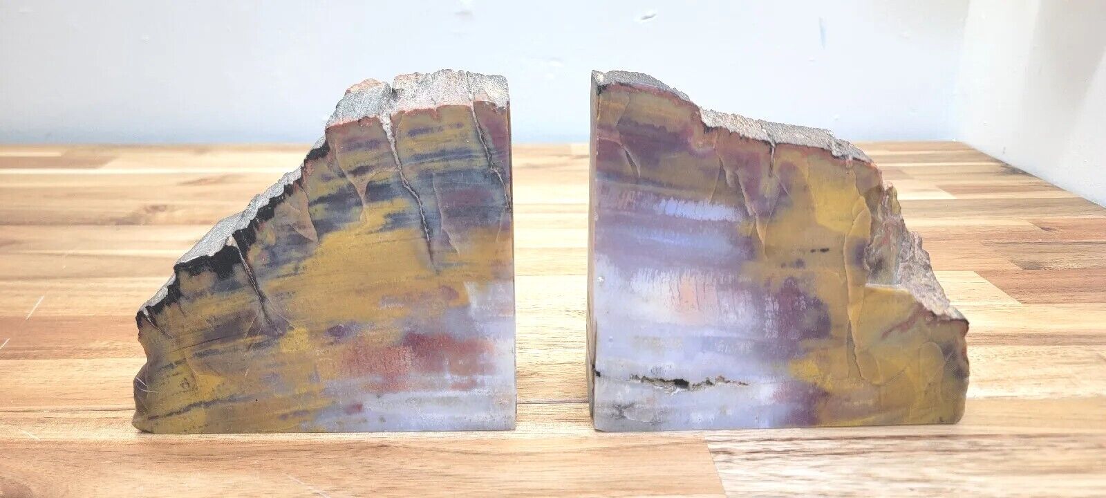 Arizona Petrified Wood Bookends Pair. Red, White,gold Color Polished TreeFossil 
