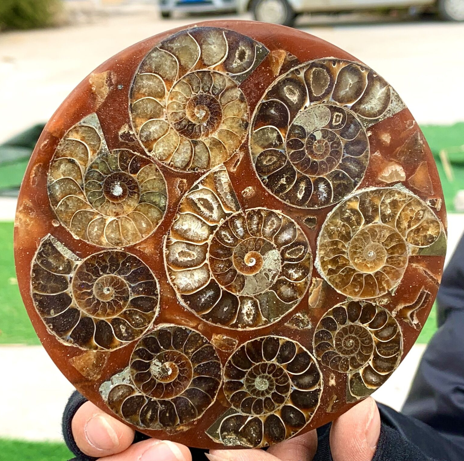200G Rare Natural Tentacle Ammonite FossilSpecimen Shell Healing Madagascar