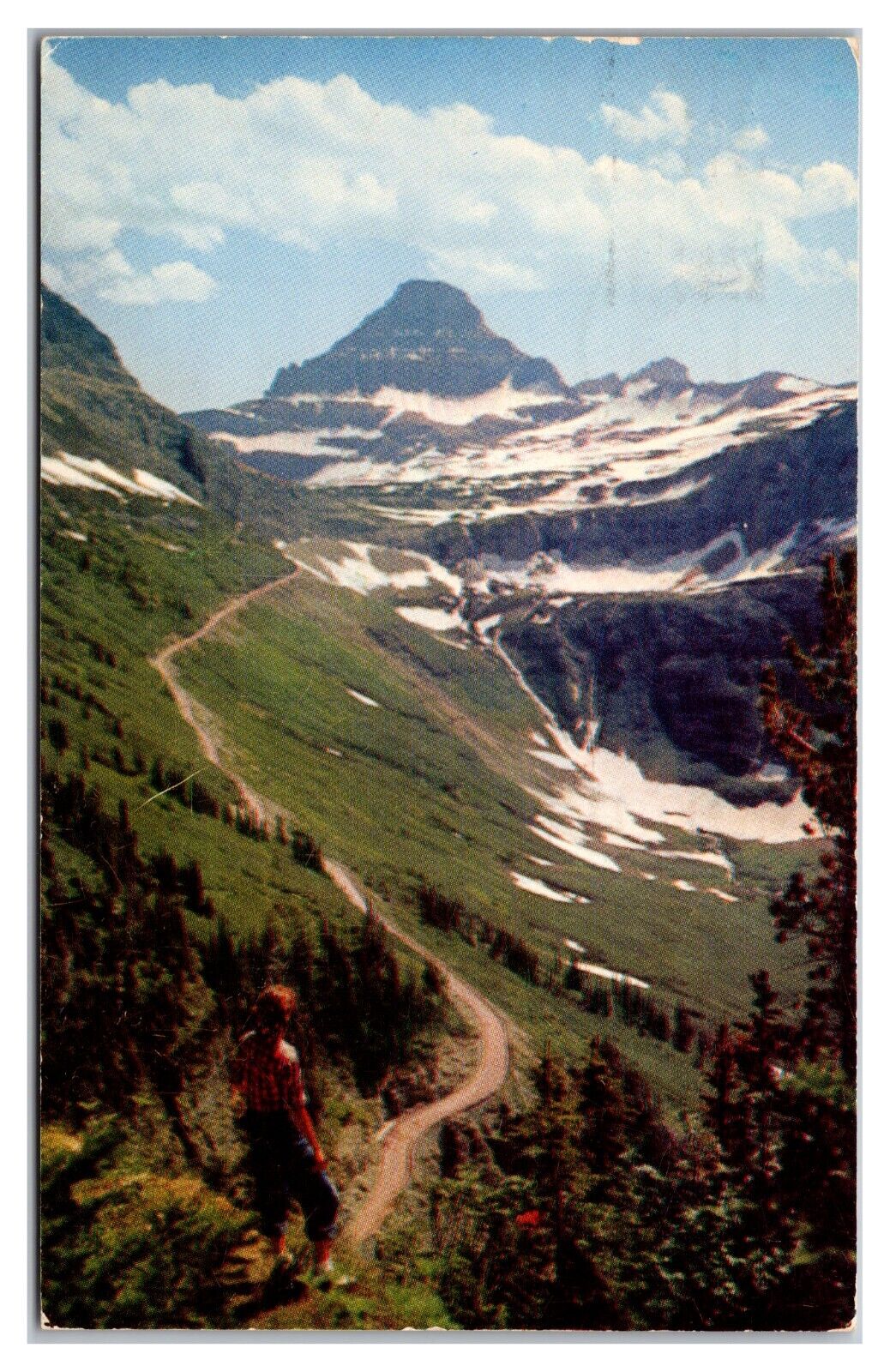 Reynolds Mountain From Going-To-The-Sun-Highway Glacier National Park Postcard