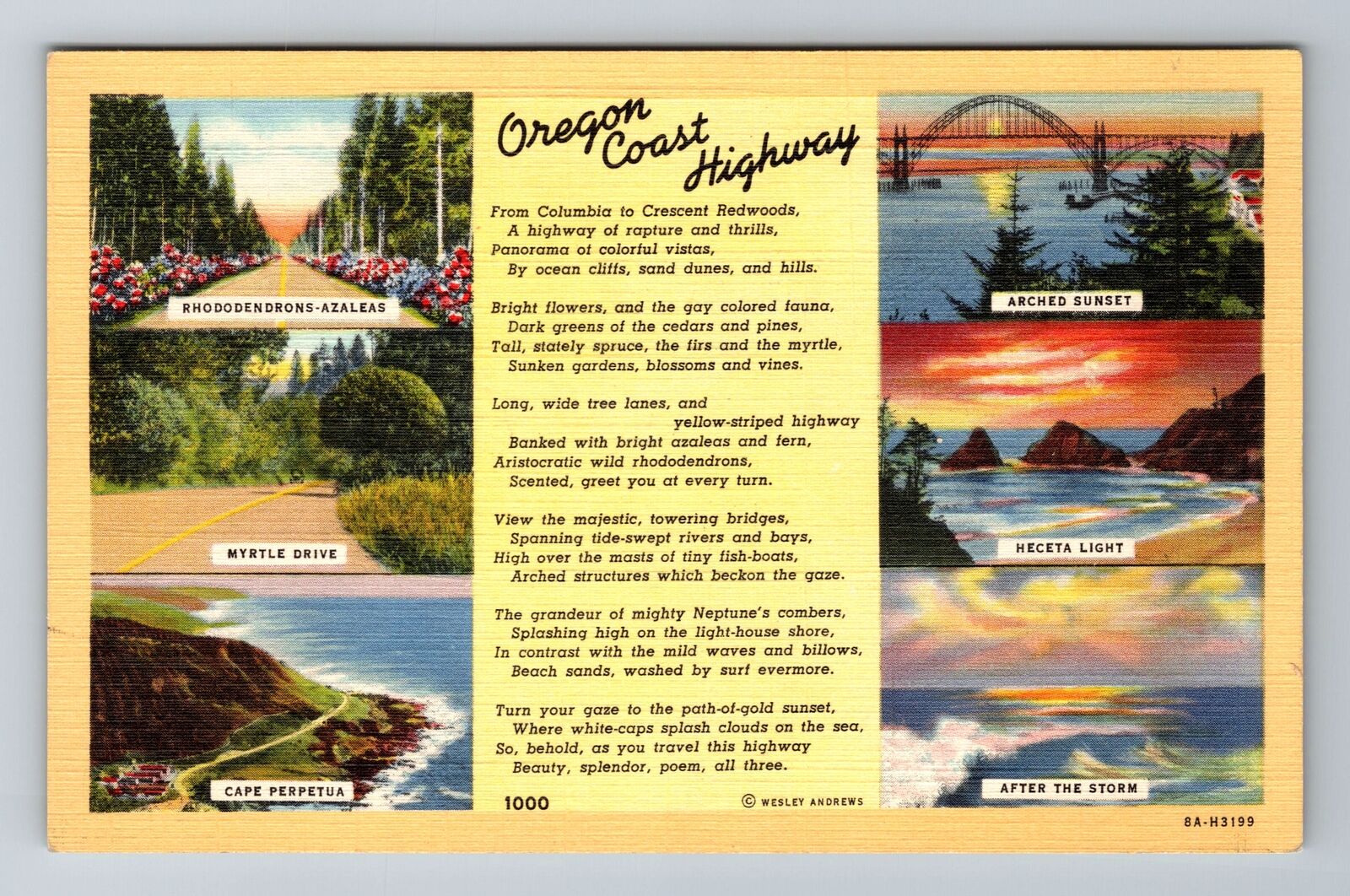OR-Oregon, Oregon Coast Highway, Antique, Vintage Souvenir Postcard